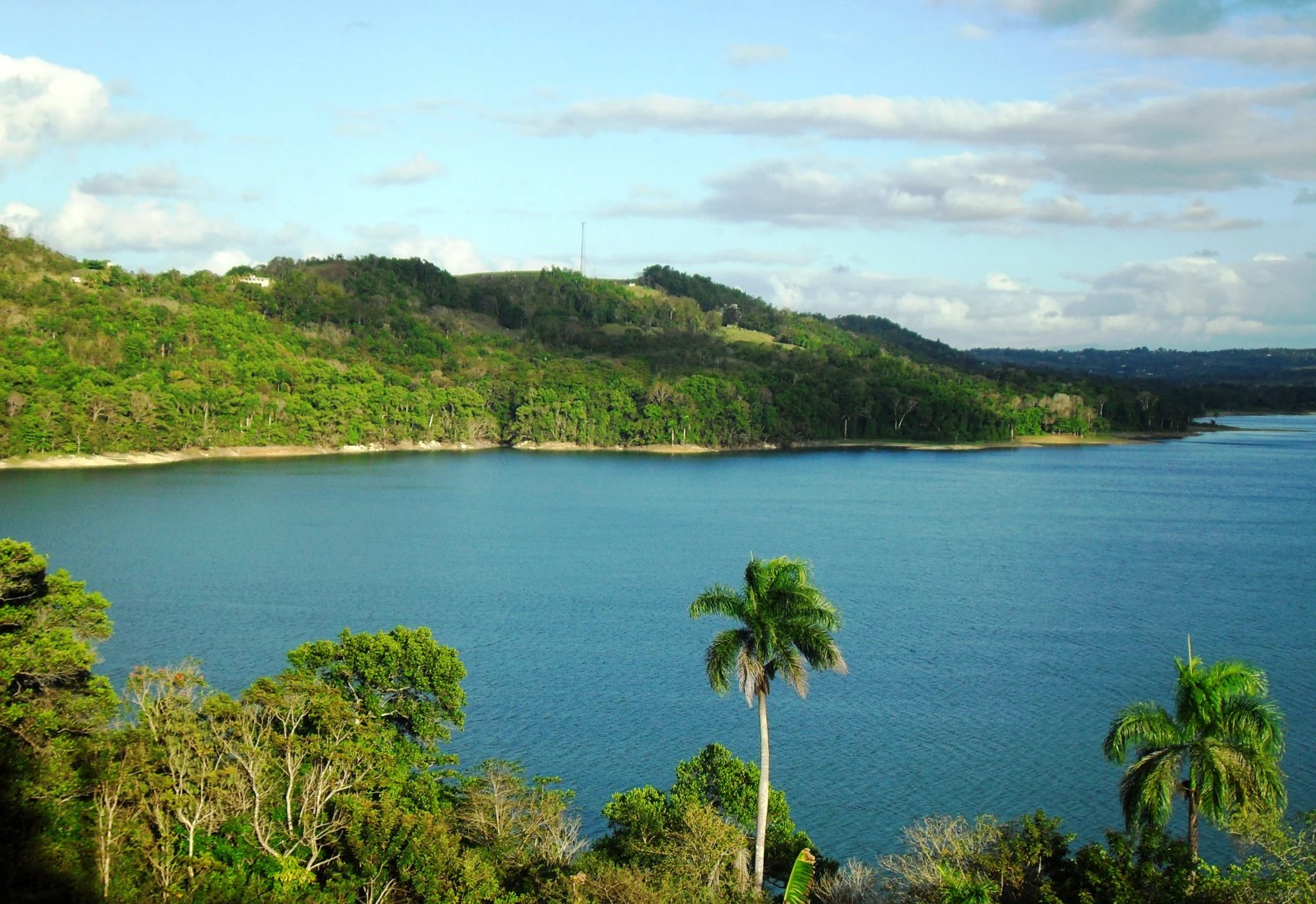 A wide, elevated view of a large blue lake surrounded by rolling, forest-covered karst hills and tropical palm trees.
