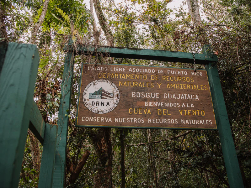 A weathered wooden park entrance sign hanging on a green wooden frame in a dense tropical forest, with text indicating Cueva del Viento and the Puerto Rico Department of Natural Resources.