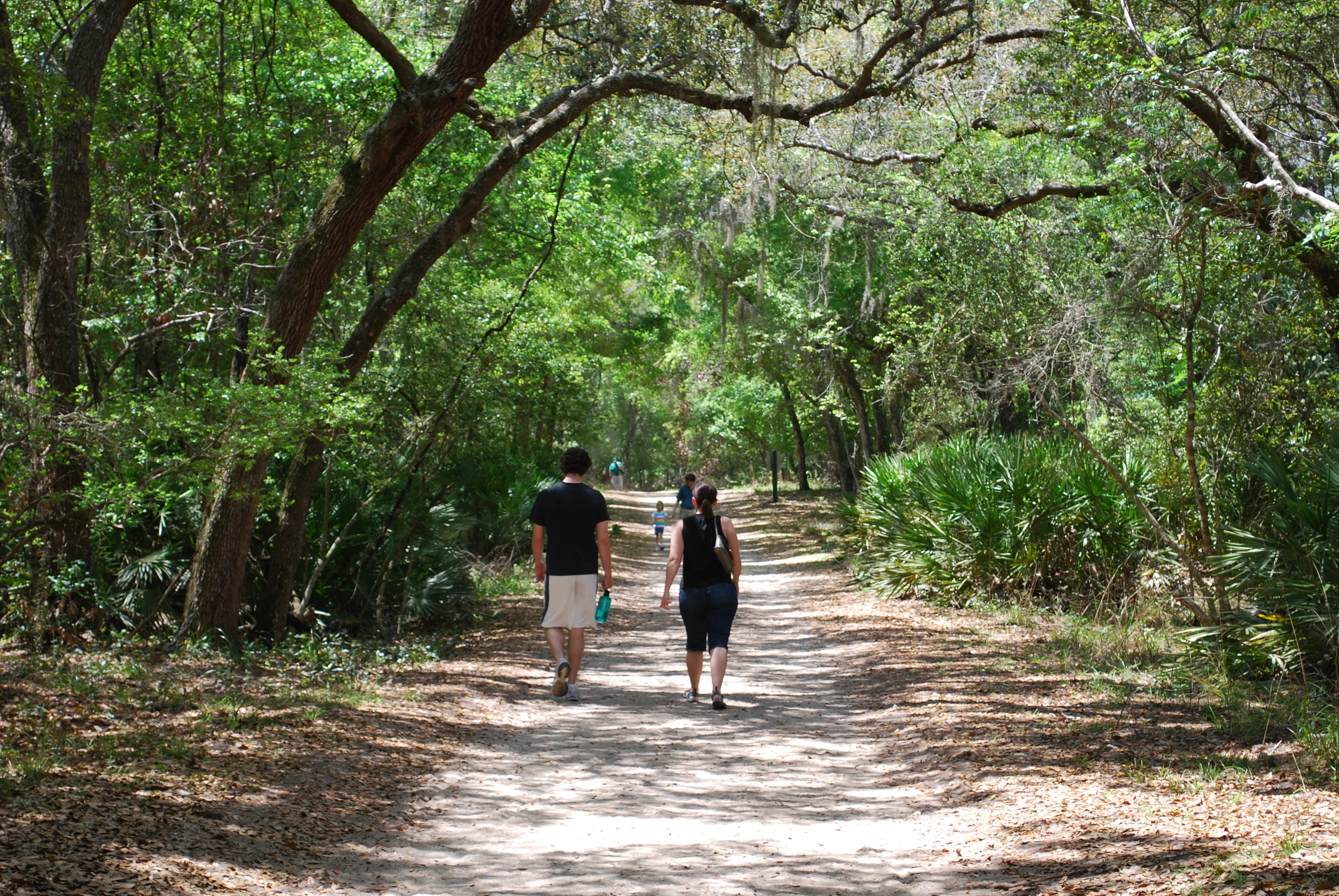 A man and a woman walking away from the camera along a shaded, dirt hiking trail through a dense forest.