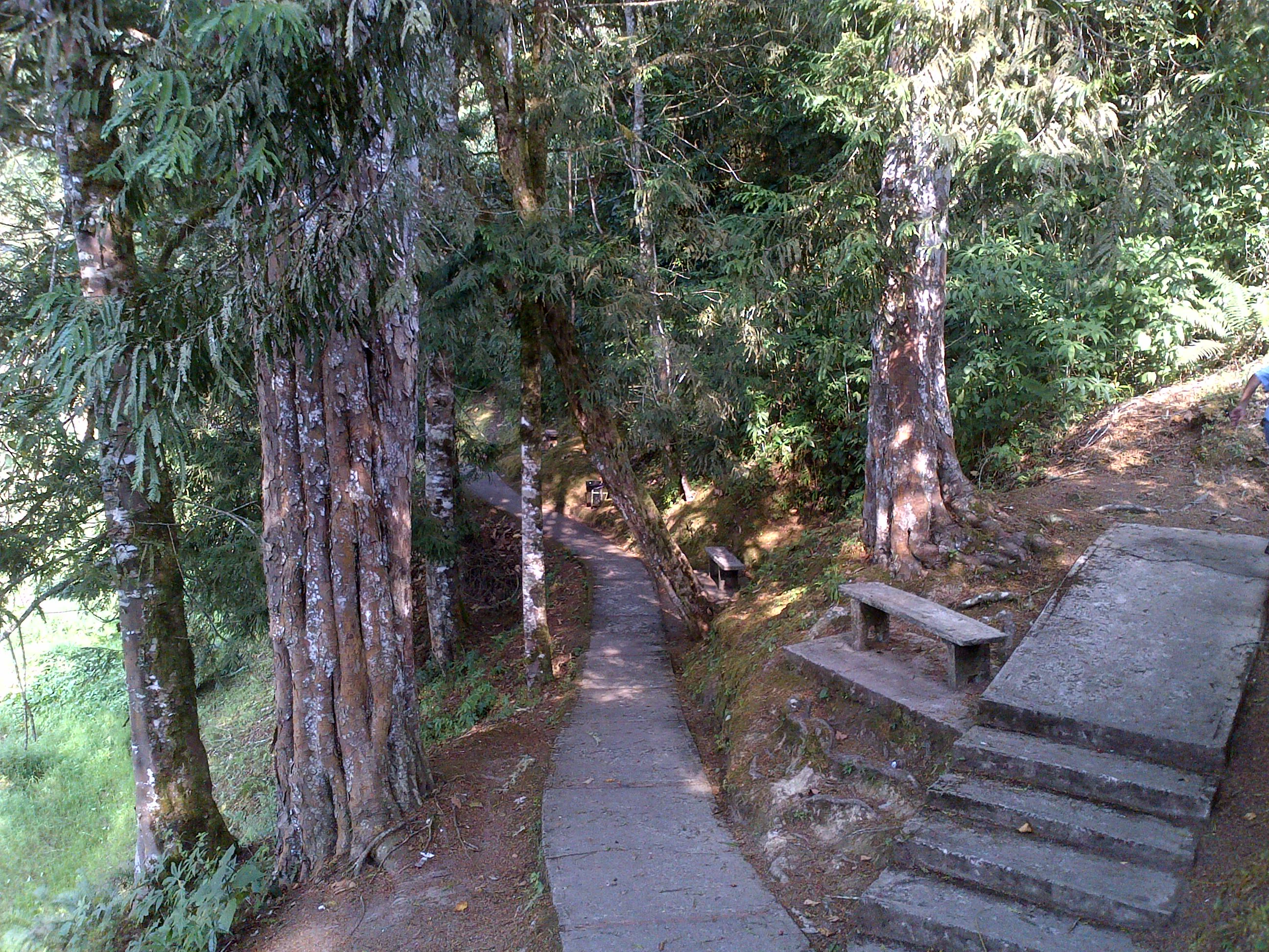 A narrow paved path leads into a lush, shaded forest, with stone steps and a wooden bench situated on the right side.