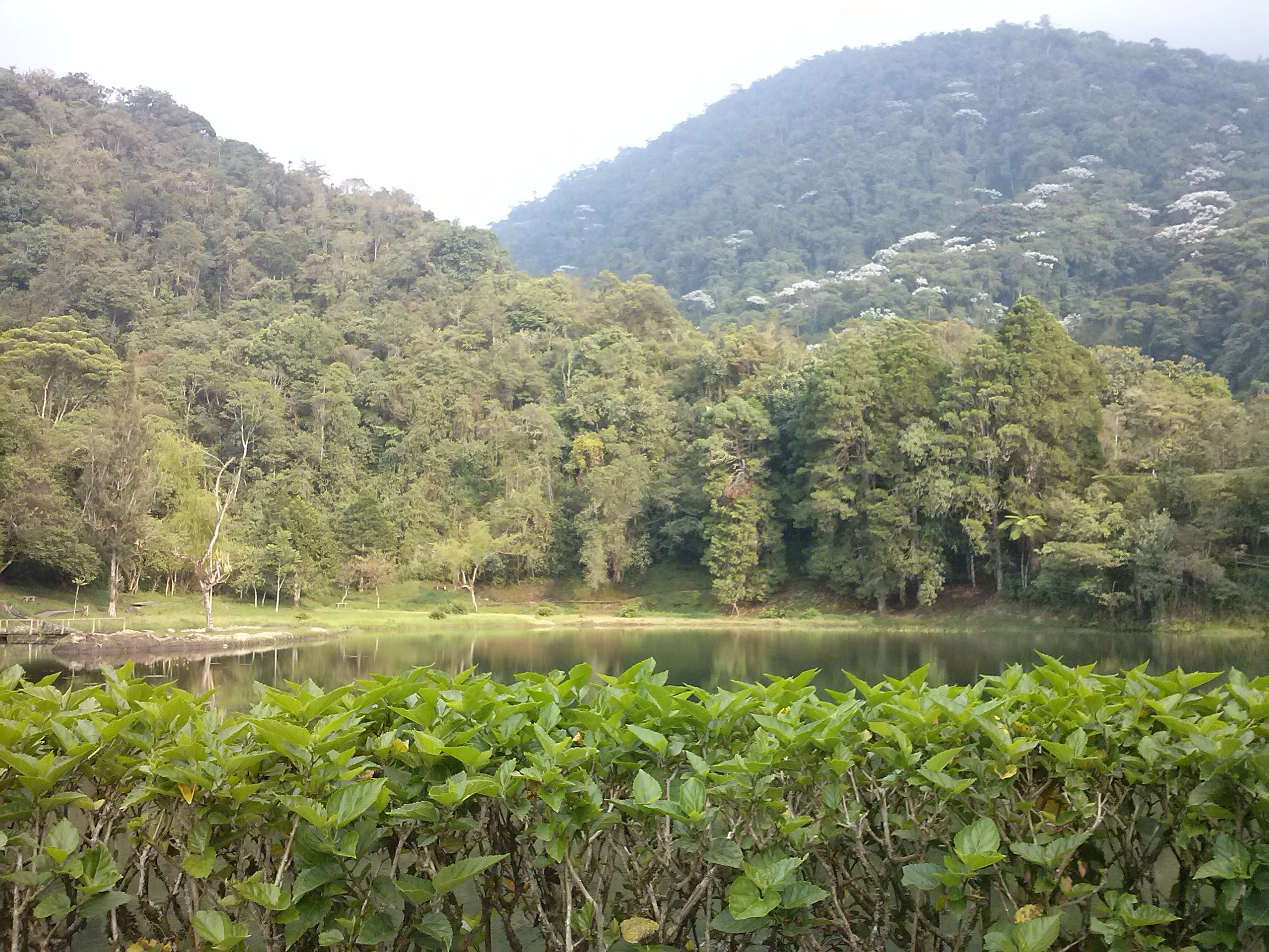 A calm, dark lake situated at the base of lush, green, forested mountains under an overcast sky.