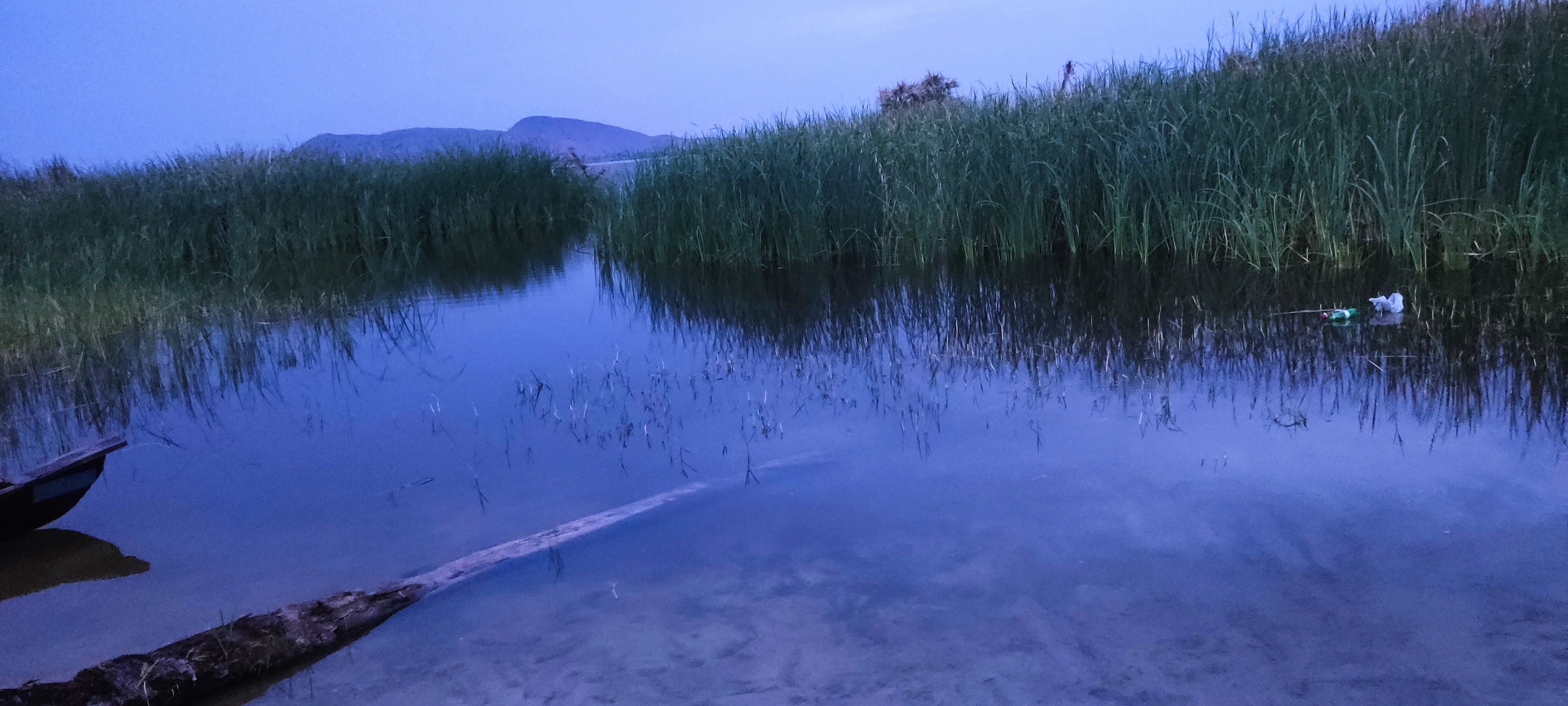 A wide shot of Guidimouni Lake during twilight showing calm water, dense patches of reeds, and a distant low mountain range on the horizon.