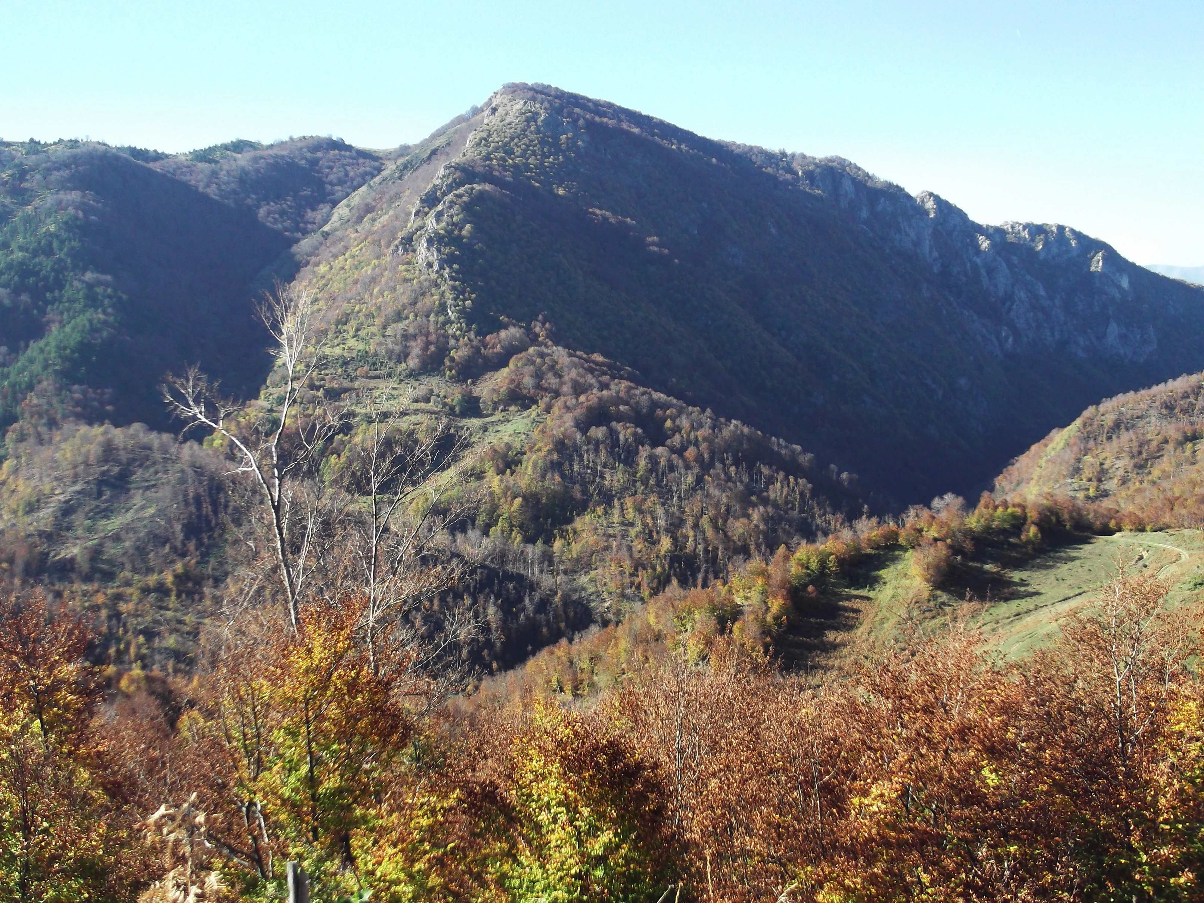 A wide, eye-level view of a prominent, rounded mountain peak covered in autumn-toned forest, with steep slopes and a deep valley visible below.