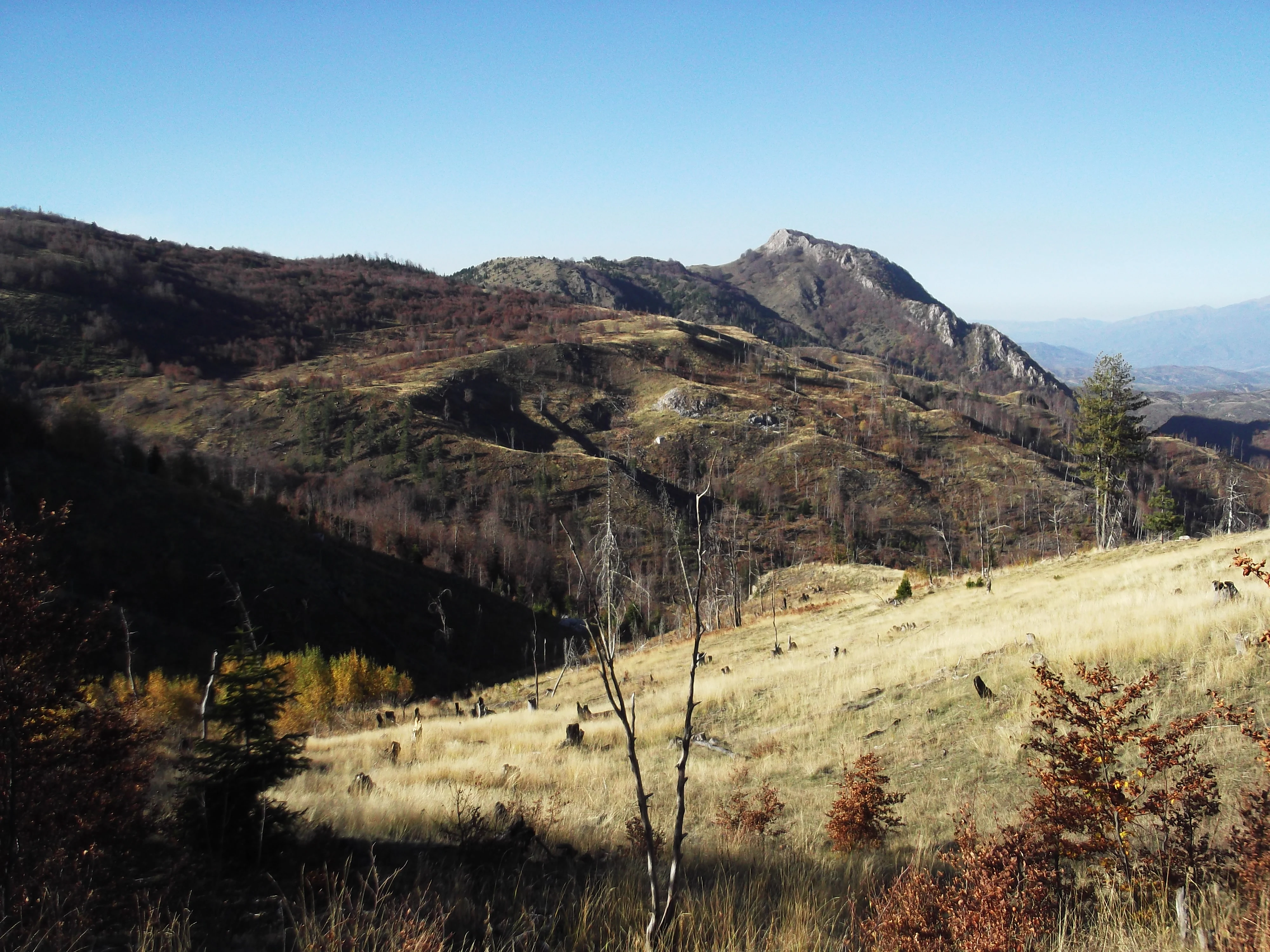 Wide landscape shot of a mountain range in autumn with dry grass, sparse trees, and rugged slopes under a clear blue sky.