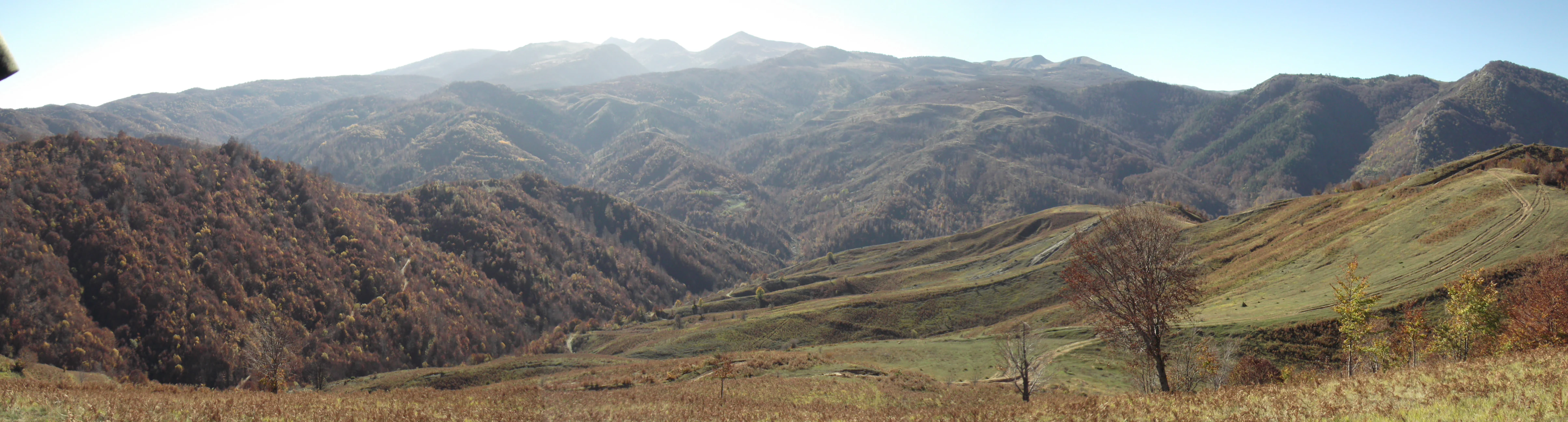 Panoramic landscape view of rolling hills and mountain ridges covered in autumn-colored trees and grassy slopes in Albania.