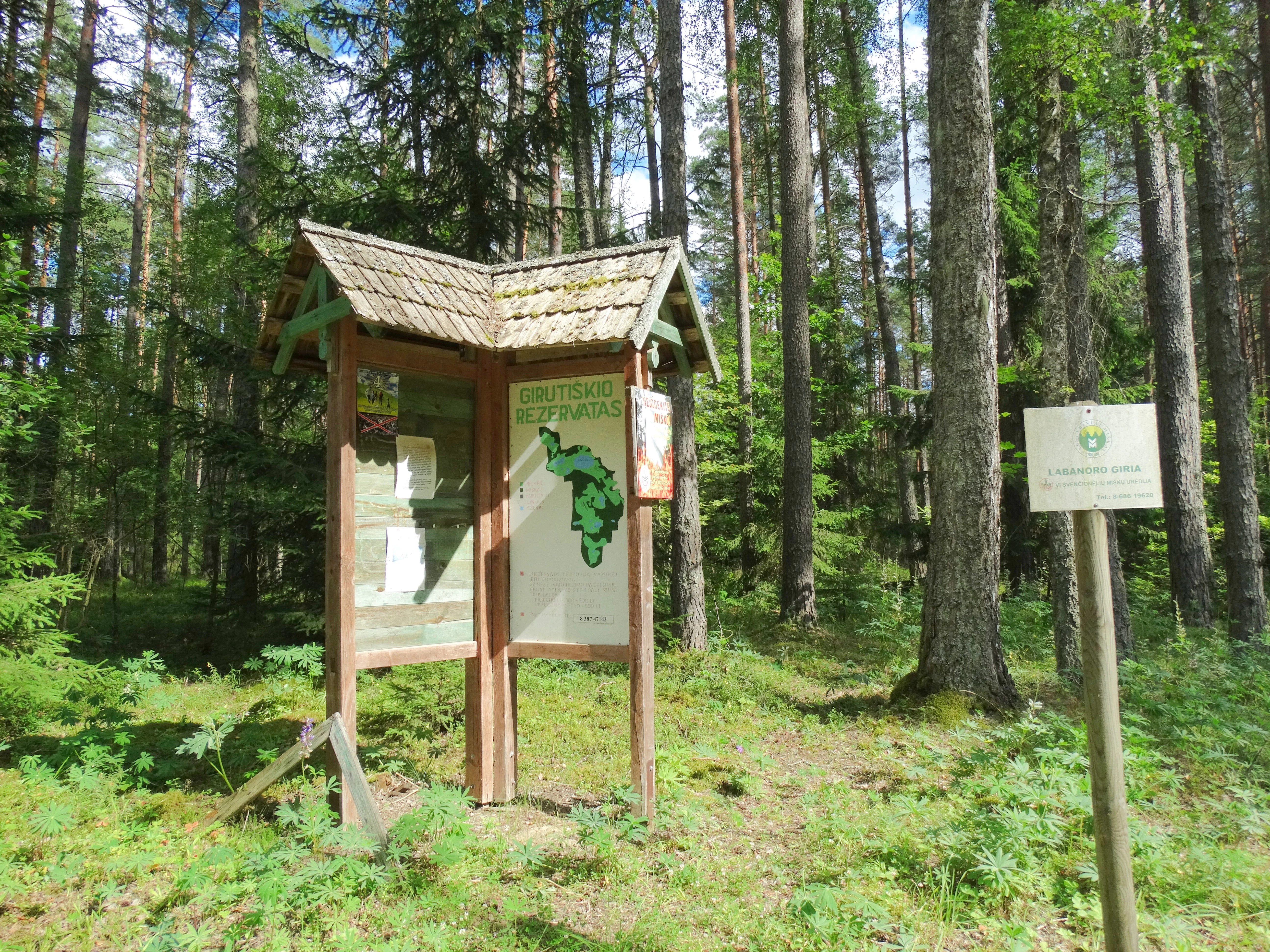 A wooden informational signboard with a map and park name stands in a pine forest, with a smaller secondary sign on a post to the right.
