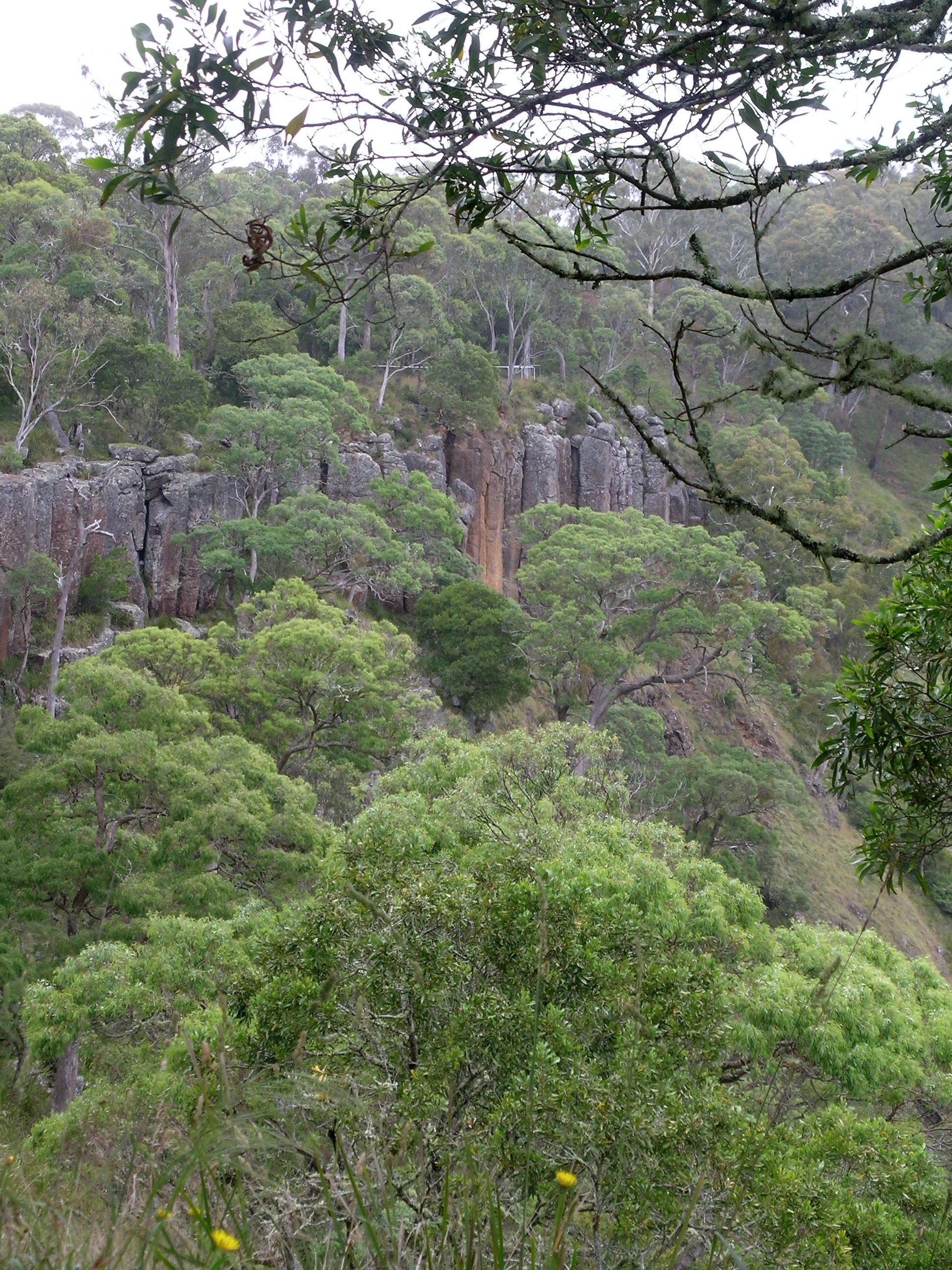 Dense green forest covering a steep hillside with rocky cliffs and a narrow river visible in the background
