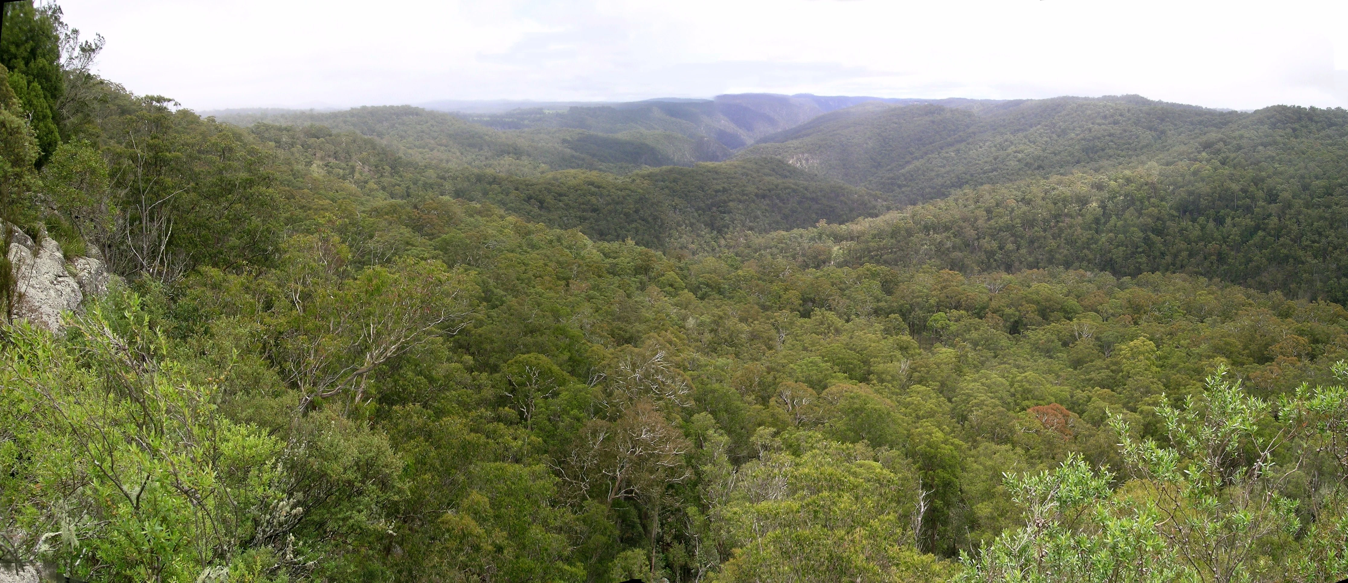 Wide landscape view showing dense green forest covering rolling hills and valleys under a partly cloudy sky
