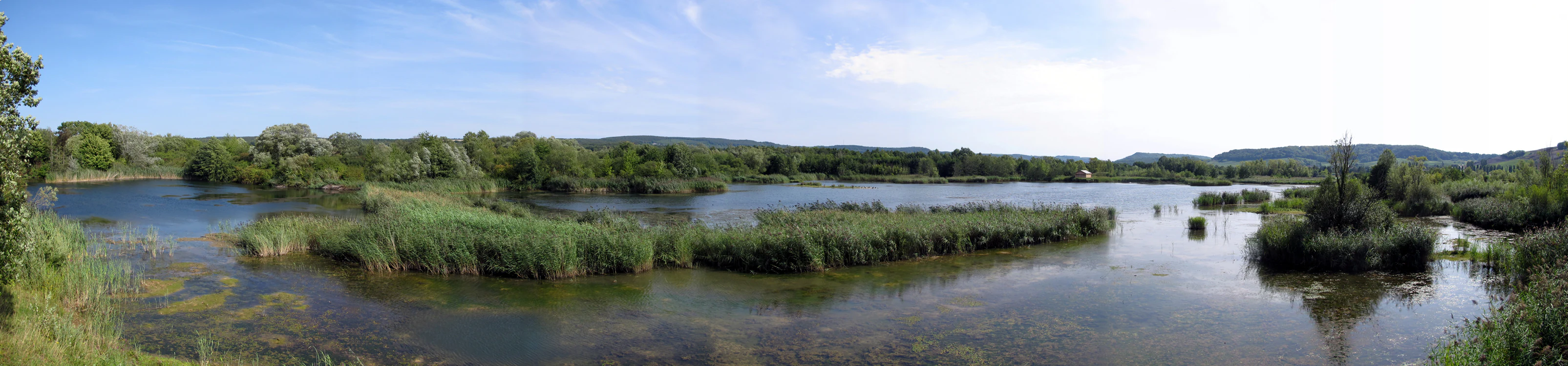 A panoramic landscape view showing interconnected shallow ponds, grassy islands, and reeds at Haff Réimech nature reserve under a clear blue sky.
