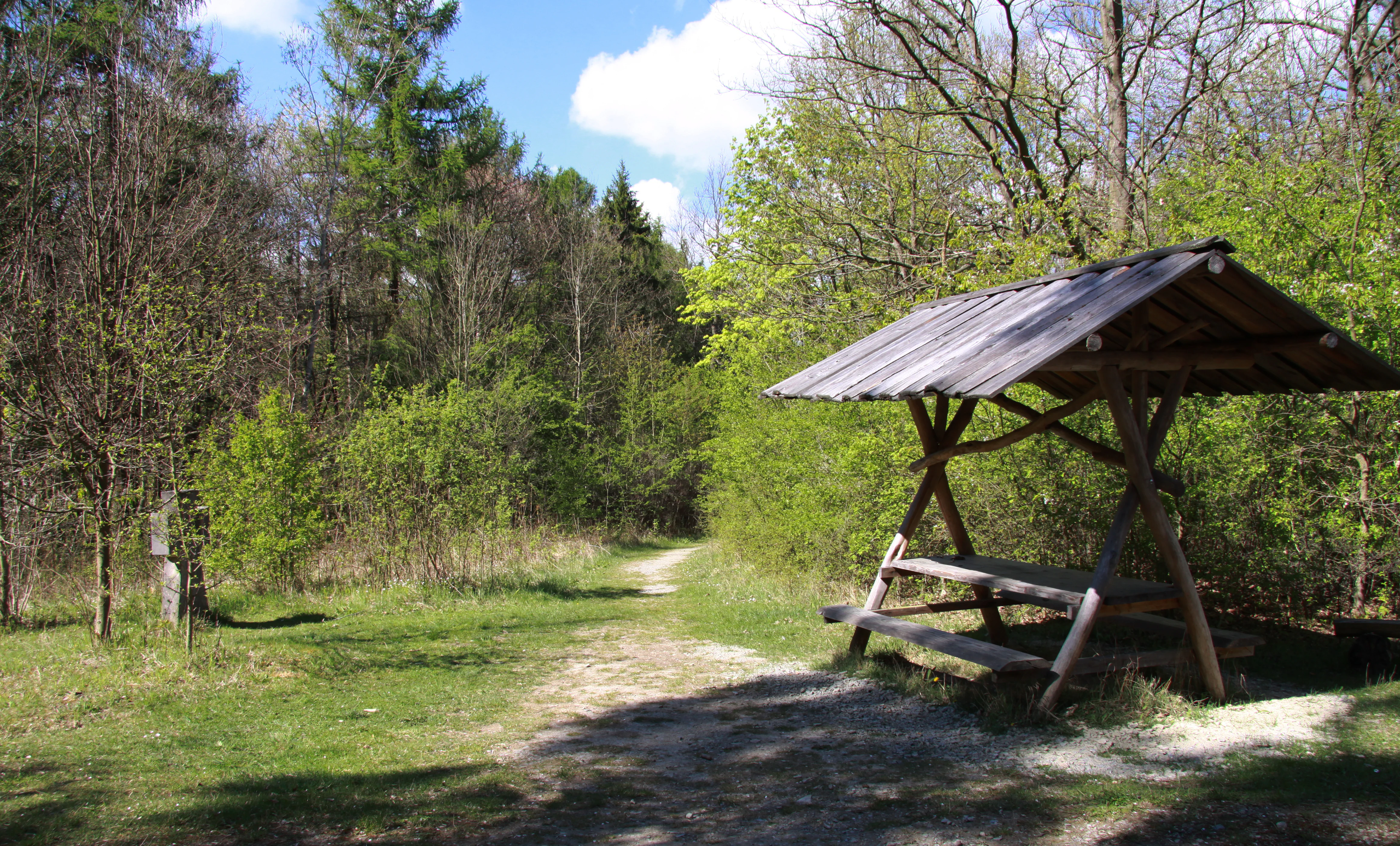 Dirt trail junction in a forested area with a wooden shelter structure, surrounded by green trees and grass under a partly cloudy sky