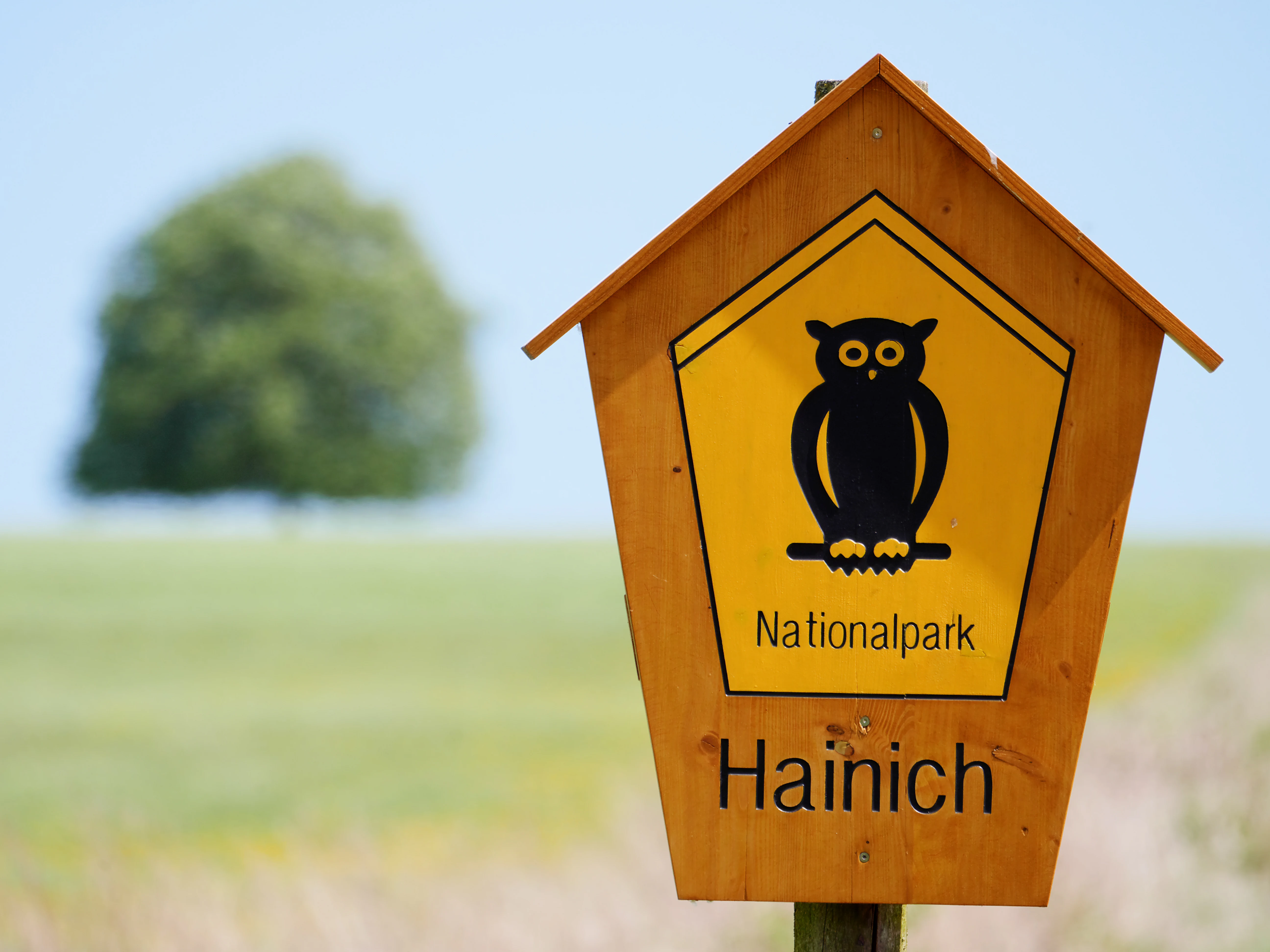 Yellow wooden sign featuring black owl logo and 'Nationalpark Hainich' text, set against grassy field with tree in background