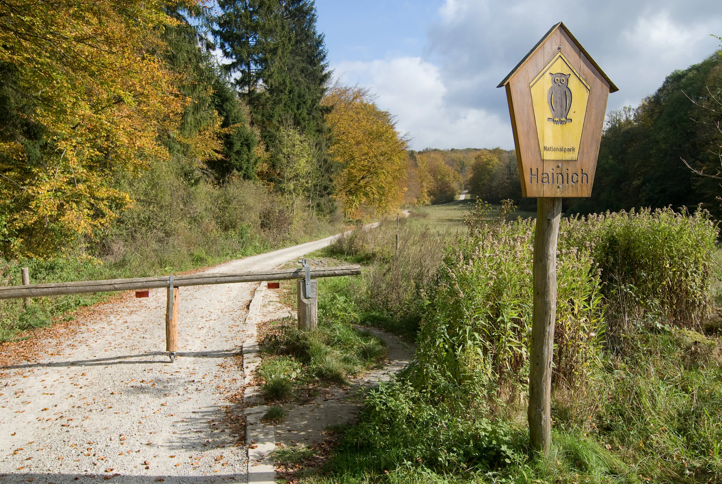 Wooden signpost with 'Hainich' text, metal gate, gravel path, and forest background