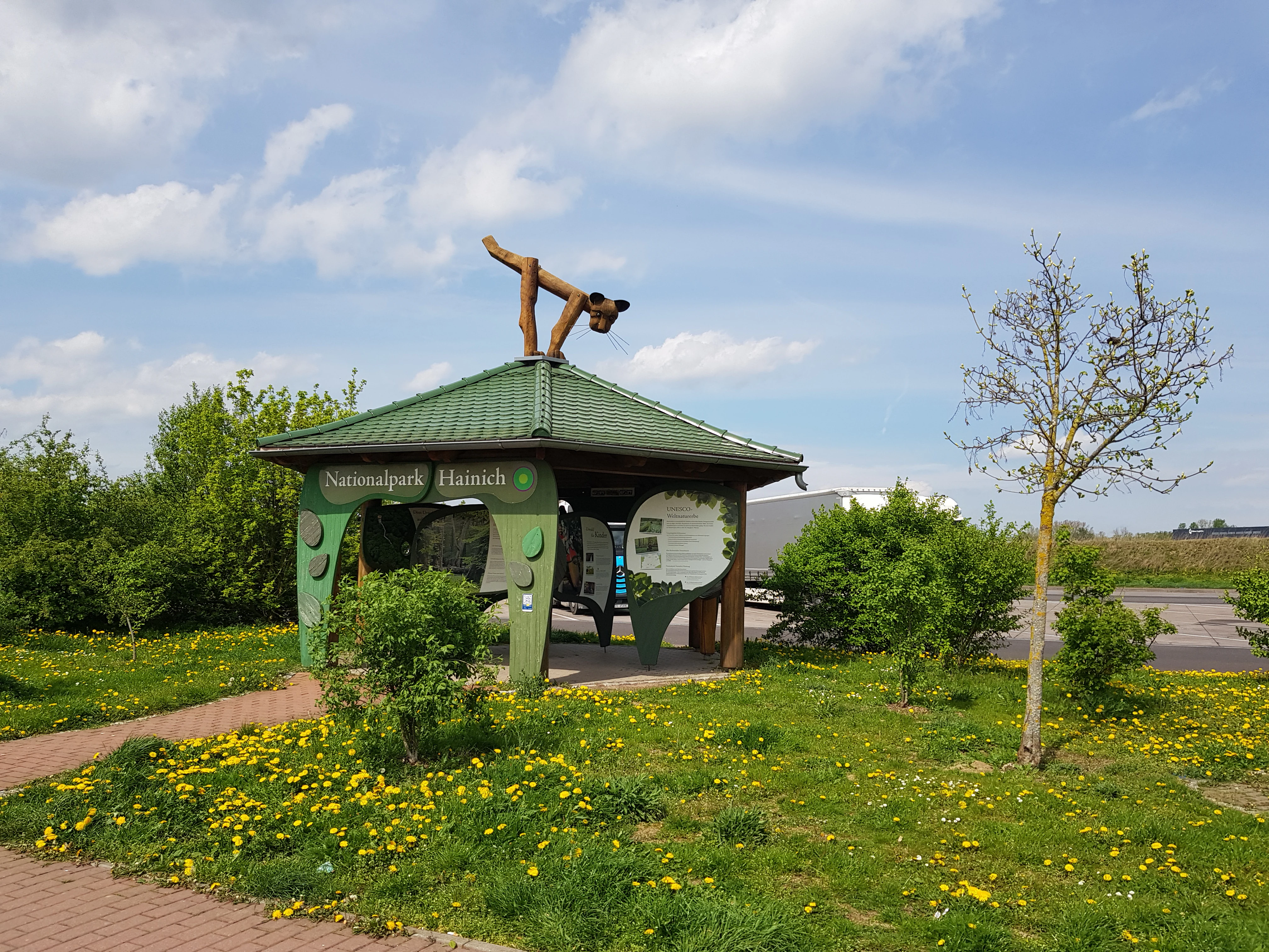 Green-roofed information pavilion for Hainich National Park with a wildcat sculpture on the roof, surrounded by grass with yellow flowers and trees