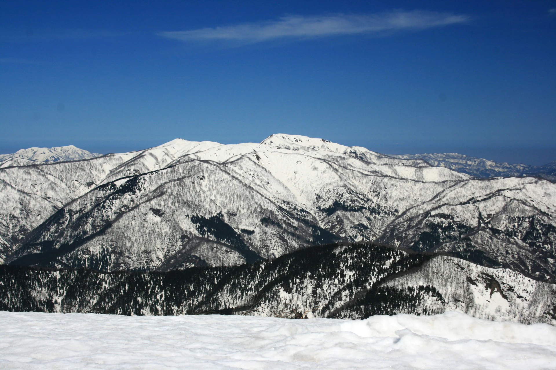 Cumbres montañosas cubiertas de nieve bajo un cielo azul despejado con laderas boscosas y un campo de nieve abierto en primer plano