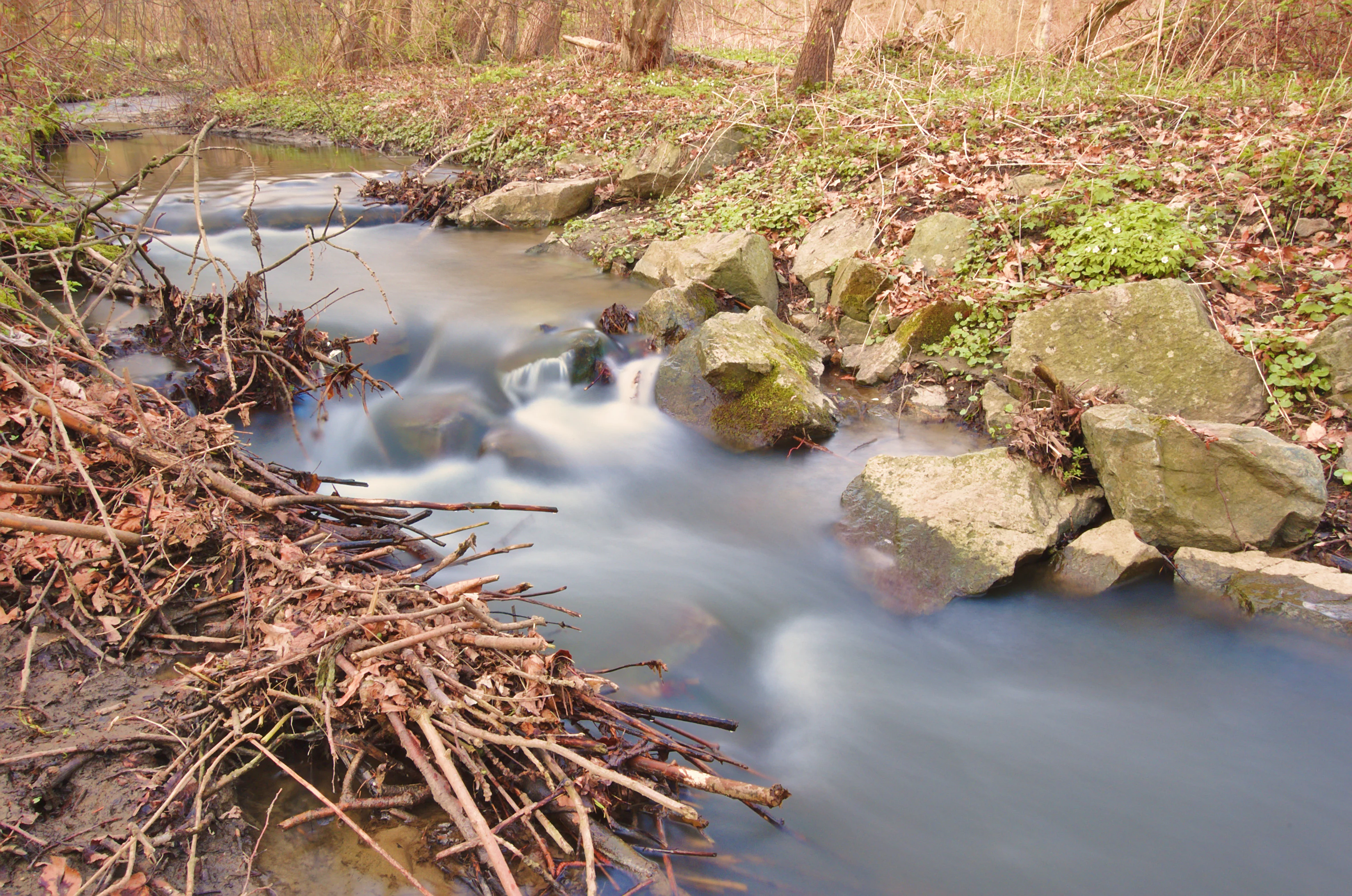A small, flowing stream with a soft, blurred effect, surrounded by rocky banks and fallen branches in a woodland setting.