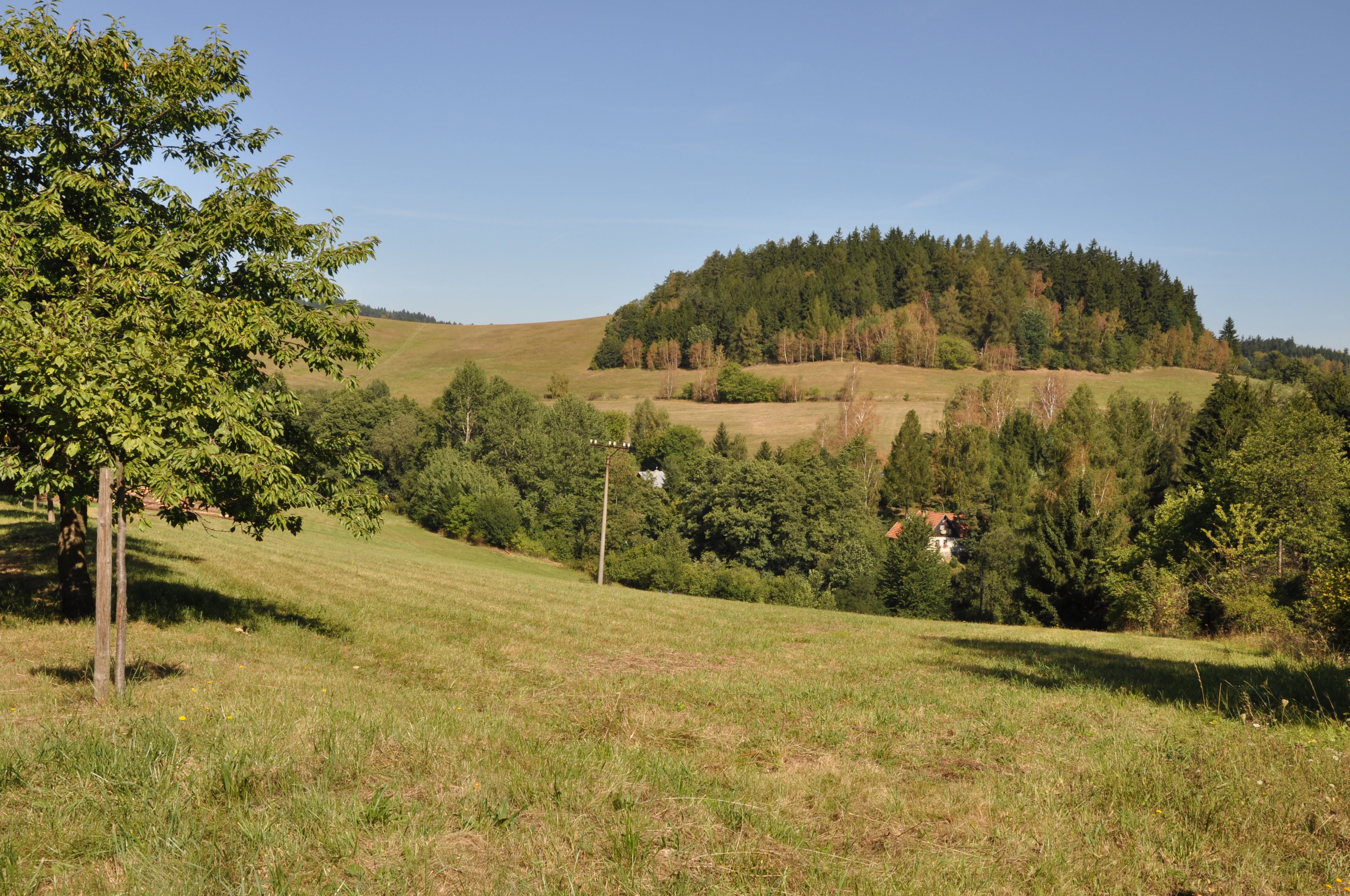 A wide, eye-level outdoor landscape shot of grassy fields, scattered deciduous trees, and forested hills under a clear blue sky in the Czech countryside.