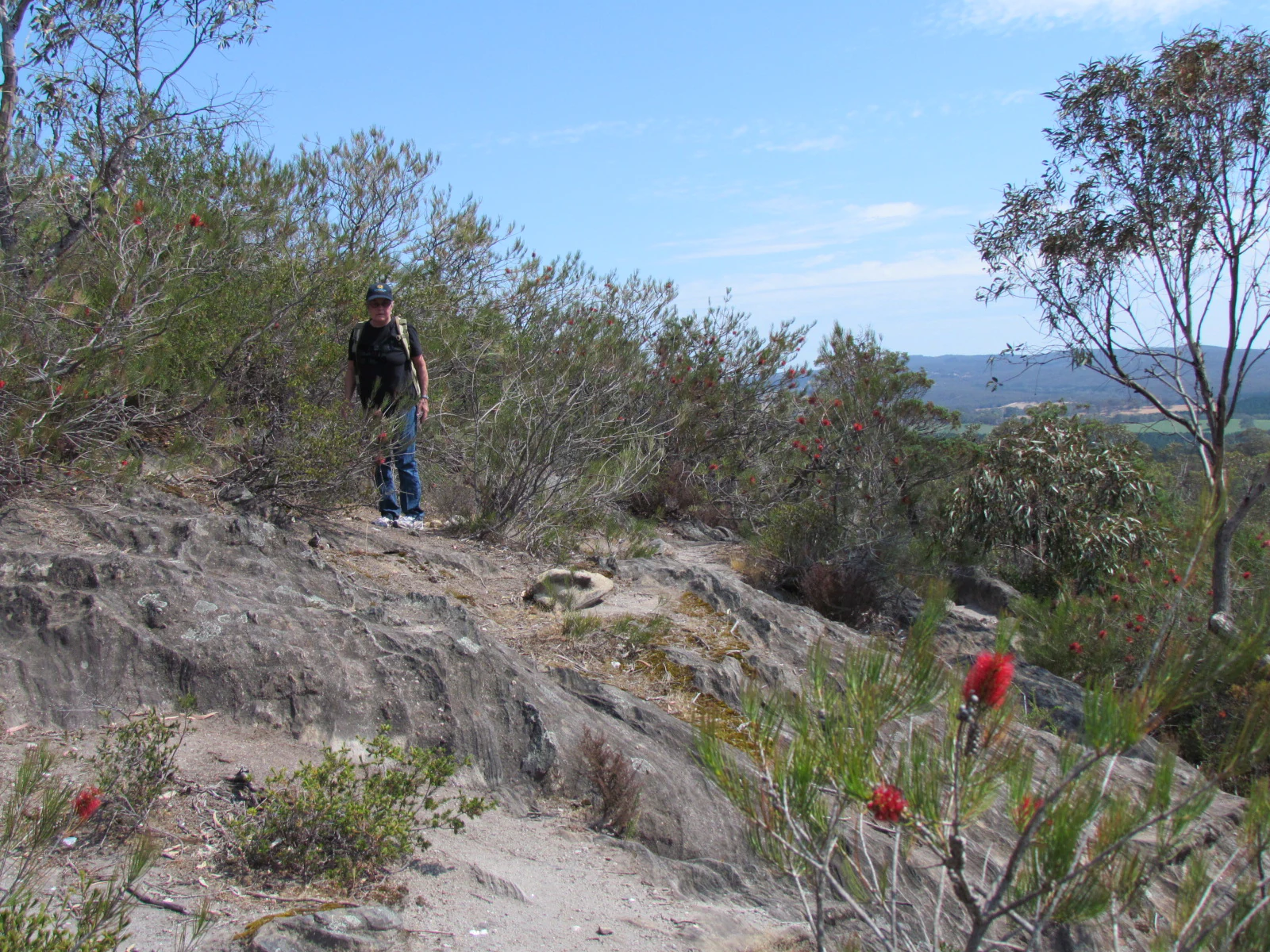 A hiker wearing a dark shirt and backpack walks along a rocky trail in a park with sparse trees, shrubs, and visible red flowers in the foreground.