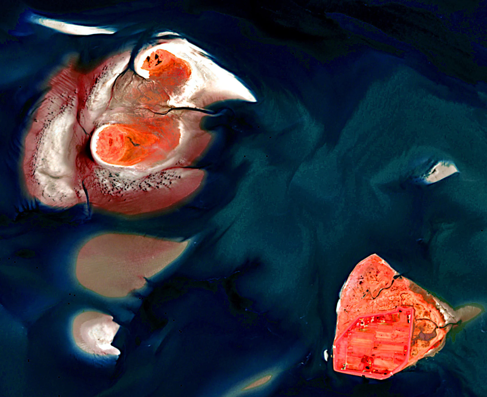 Satellite image showing the coastal wetlands and islands of Hamburg Wadden Sea National Park