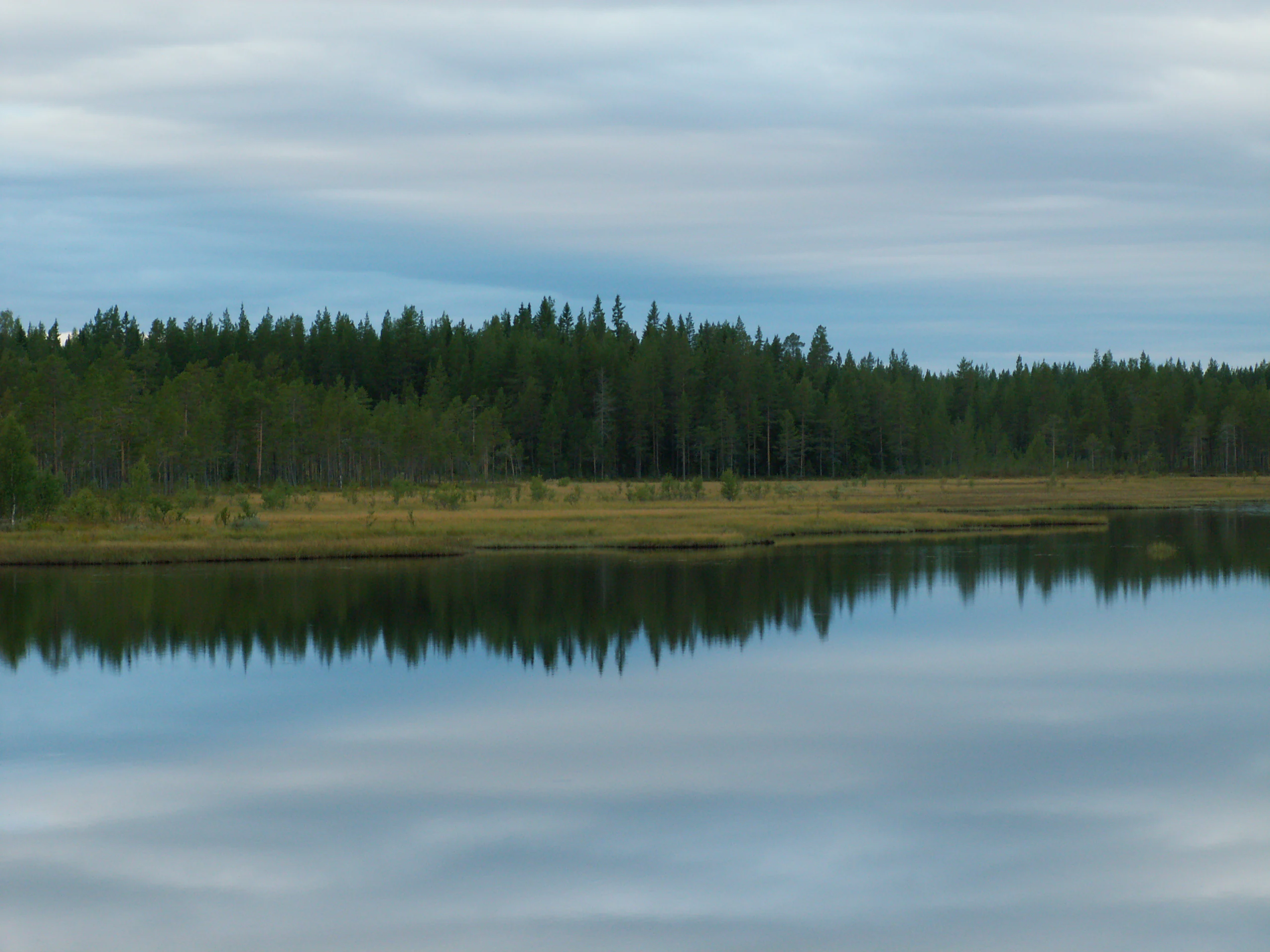 Calm lake reflecting dense forest under cloudy sky