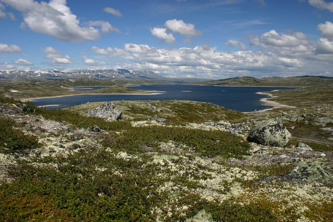 Wide scenic view of Hardangervidda National Park showing an alpine plateau with a large lake, rocky terrain, and low-lying vegetation under a blue sky with scattered clouds