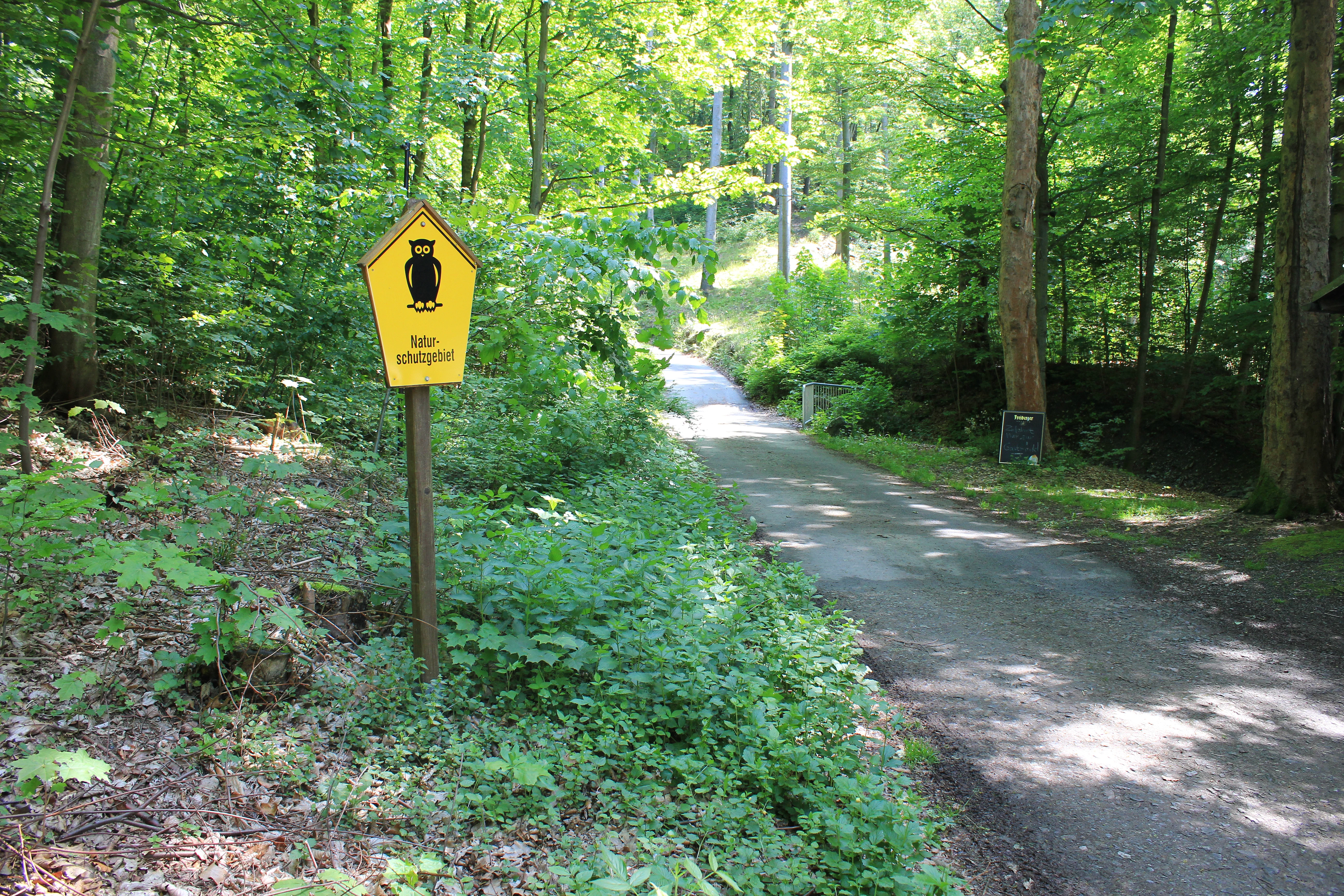 A yellow sign in the shape of a house with an owl icon and German text stands next to a forest path in a green, wooded area.