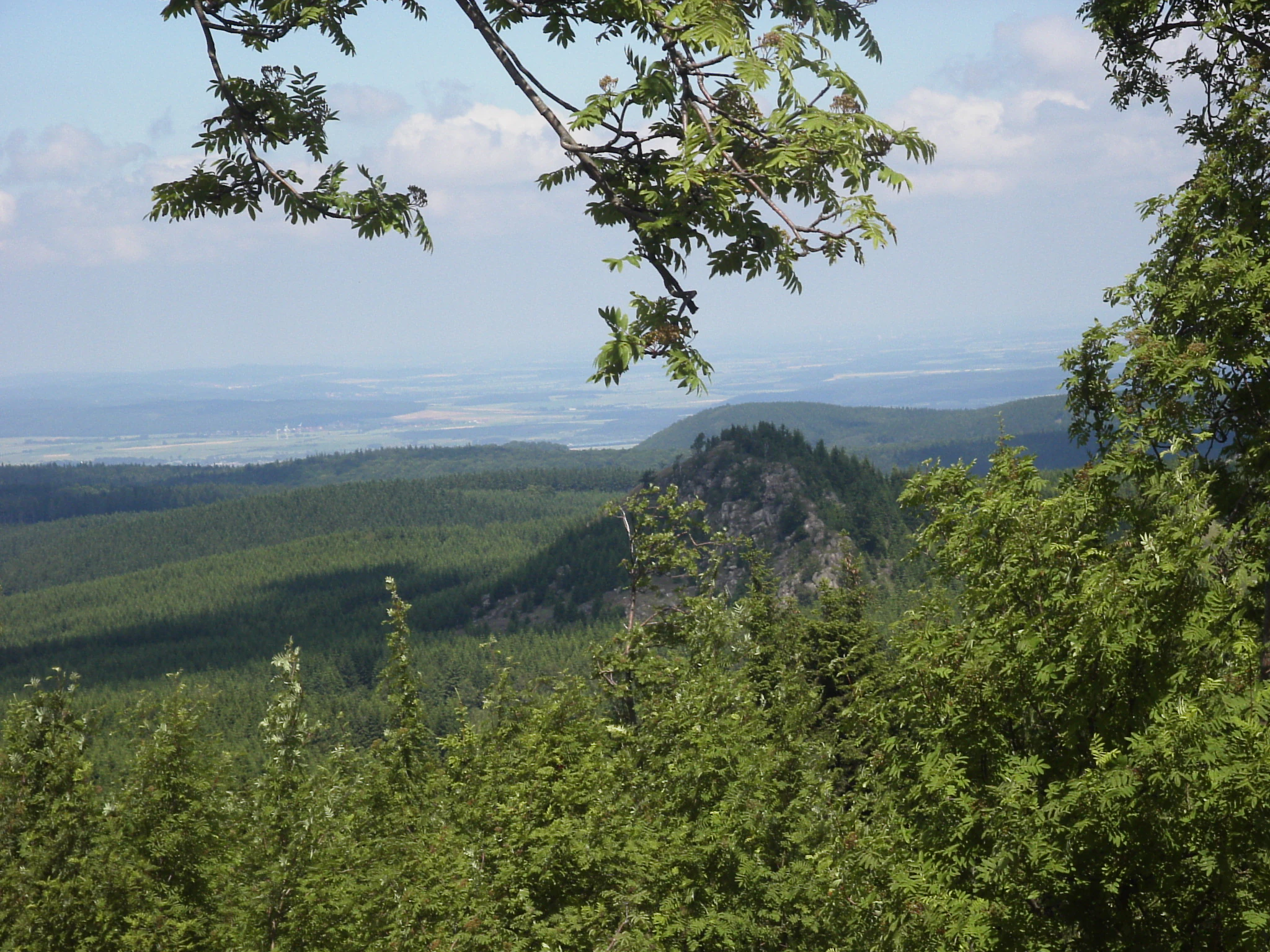 Lush green forest and mountain landscape with distant hills under a partly cloudy sky
