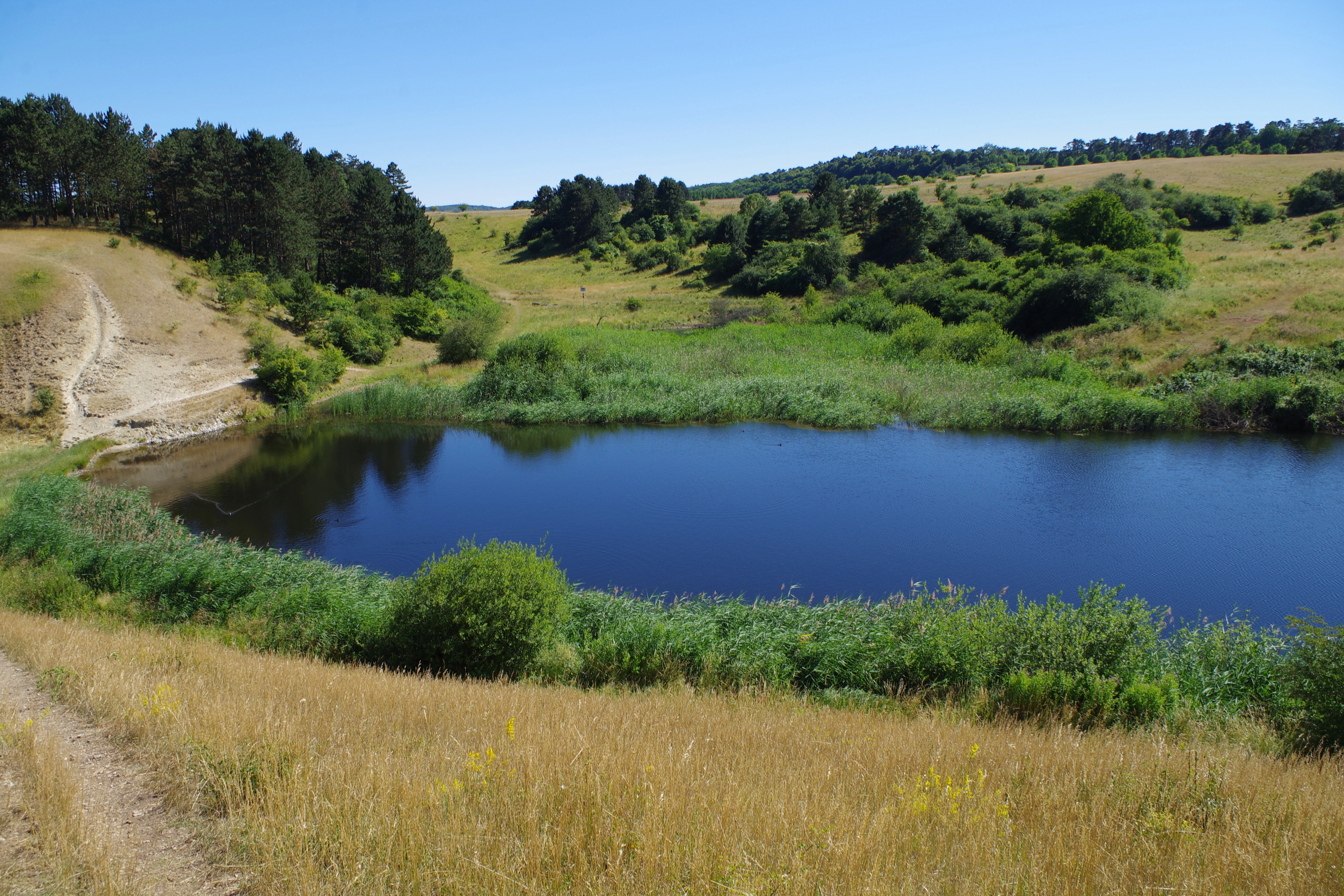 A peaceful pond sits in a valley surrounded by dry grassy hills and patches of mixed forest under a clear blue sky.