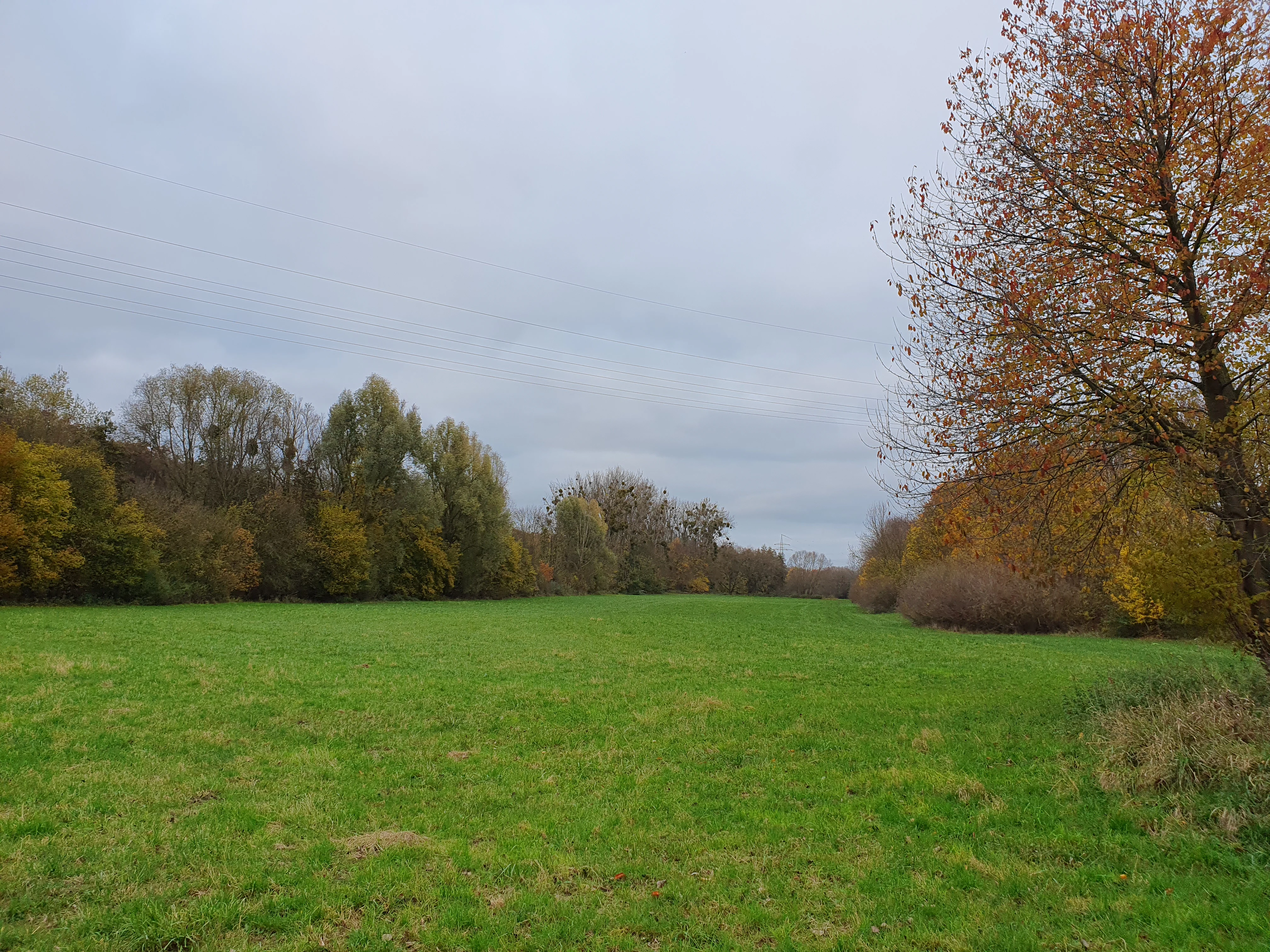 A wide, flat green meadow surrounded by deciduous trees with autumn foliage under a cloudy sky.
