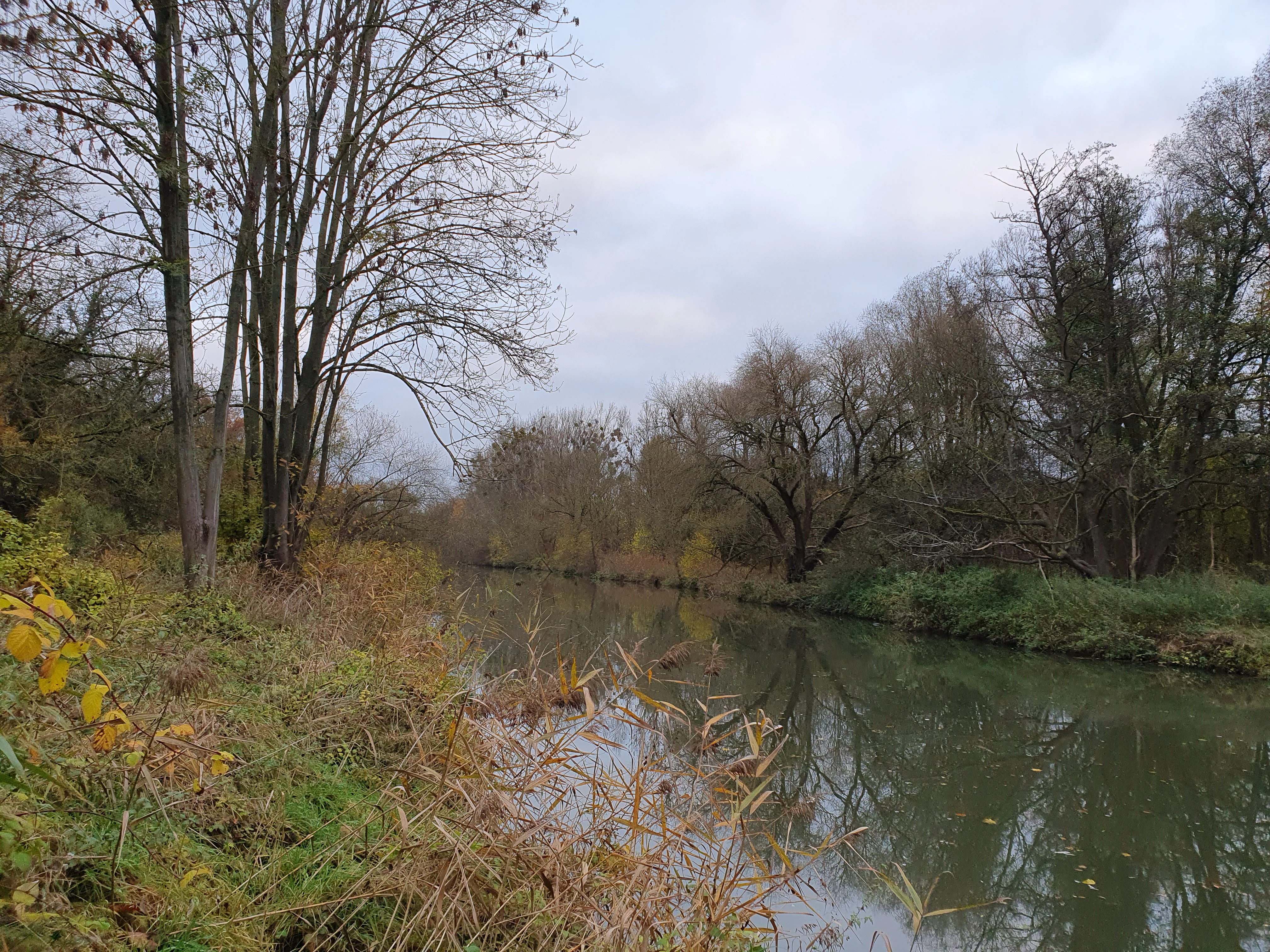 A calm, narrow river or stream flows through a forested area with deciduous trees in late autumn, under a cloudy, overcast sky.