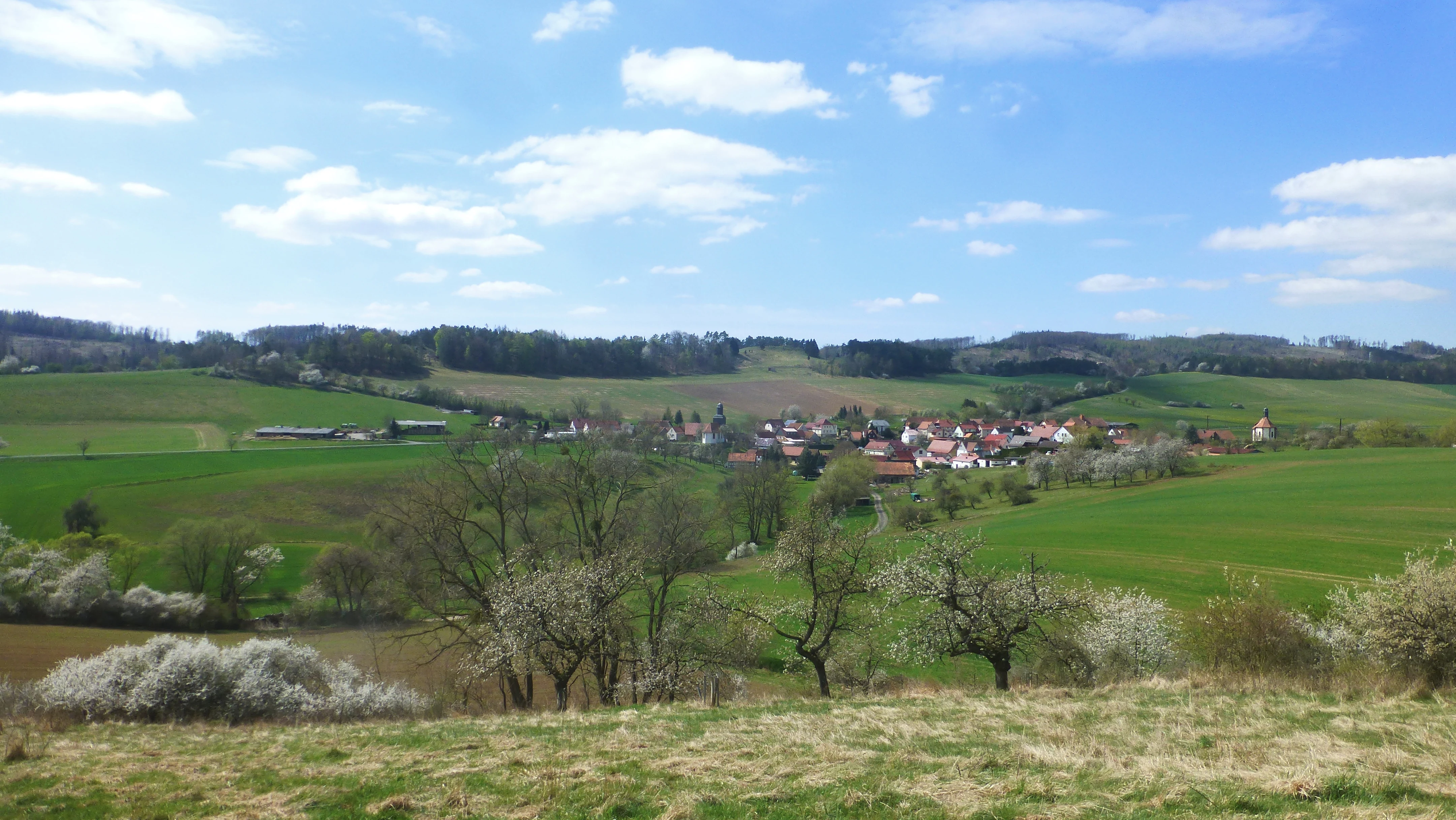 A wide, slightly elevated landscape view overlooking a small village nestled among rolling green fields, orchards, and forested hills under a blue sky with scattered clouds.
