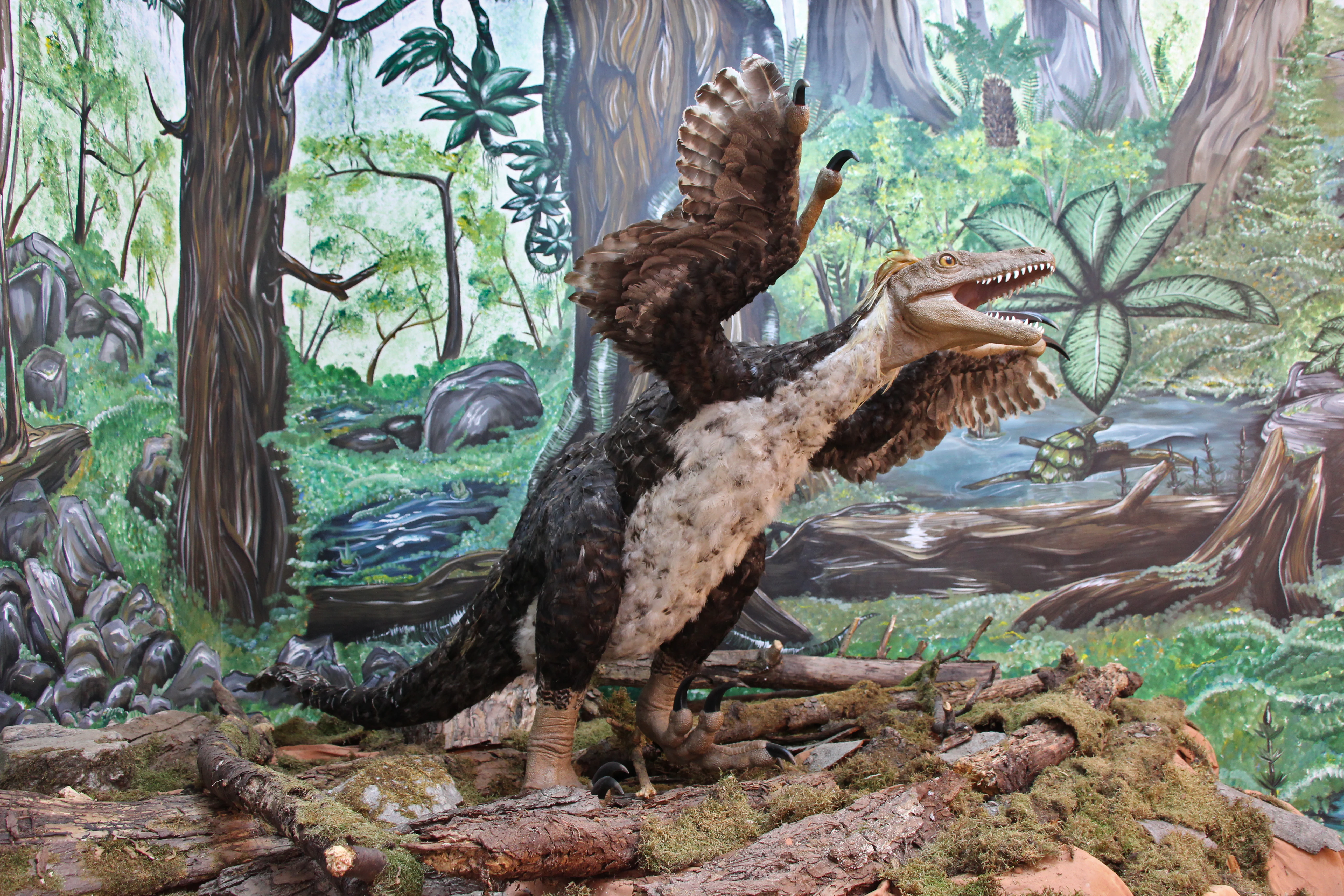 A life-sized model of the Balaur bondoc dinosaur standing in a prehistoric forest diorama with trees, rocks, and a stream