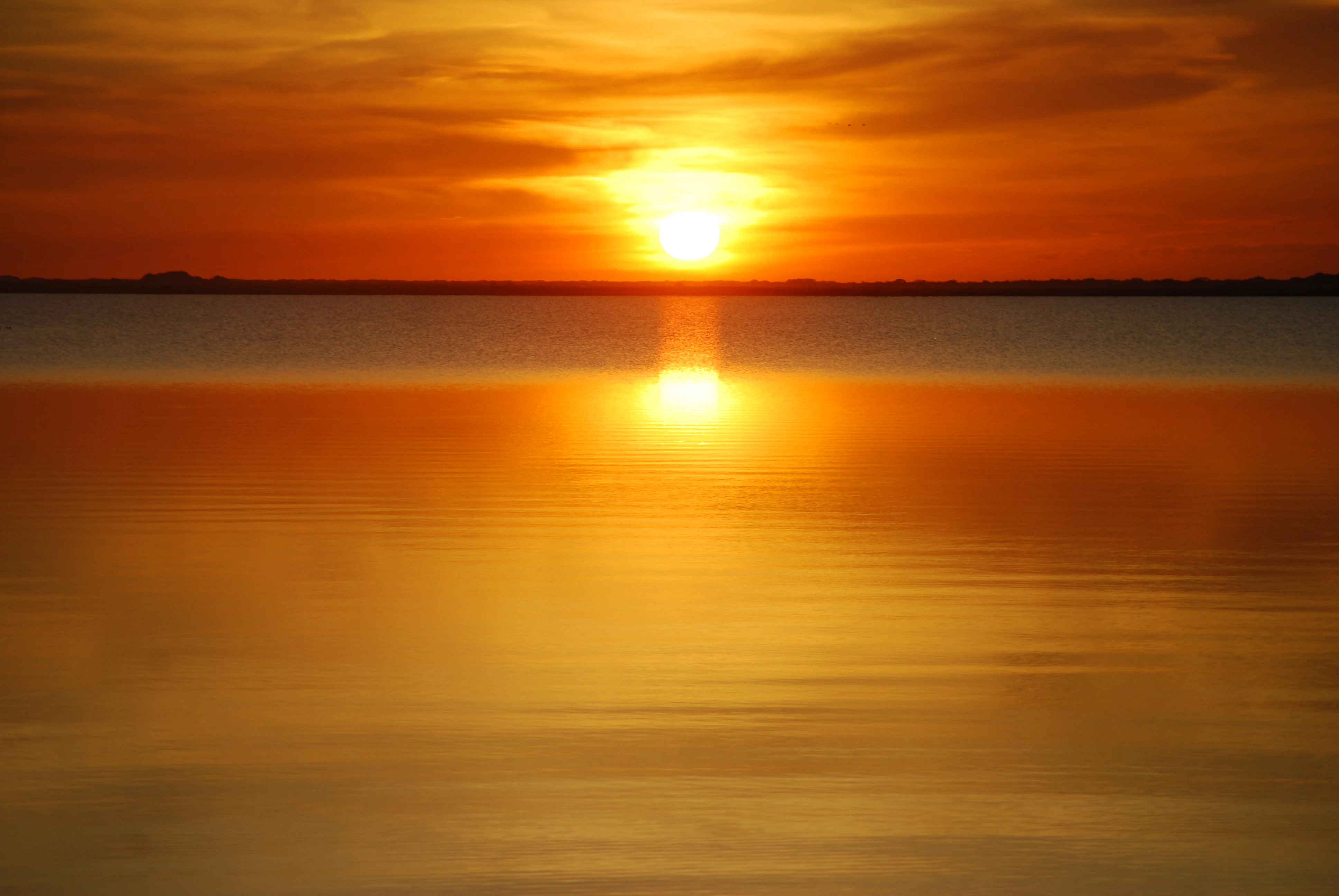 A vibrant orange sunset reflects across the calm, mirror-like surface of a vast lagoon in the Apure wetlands.