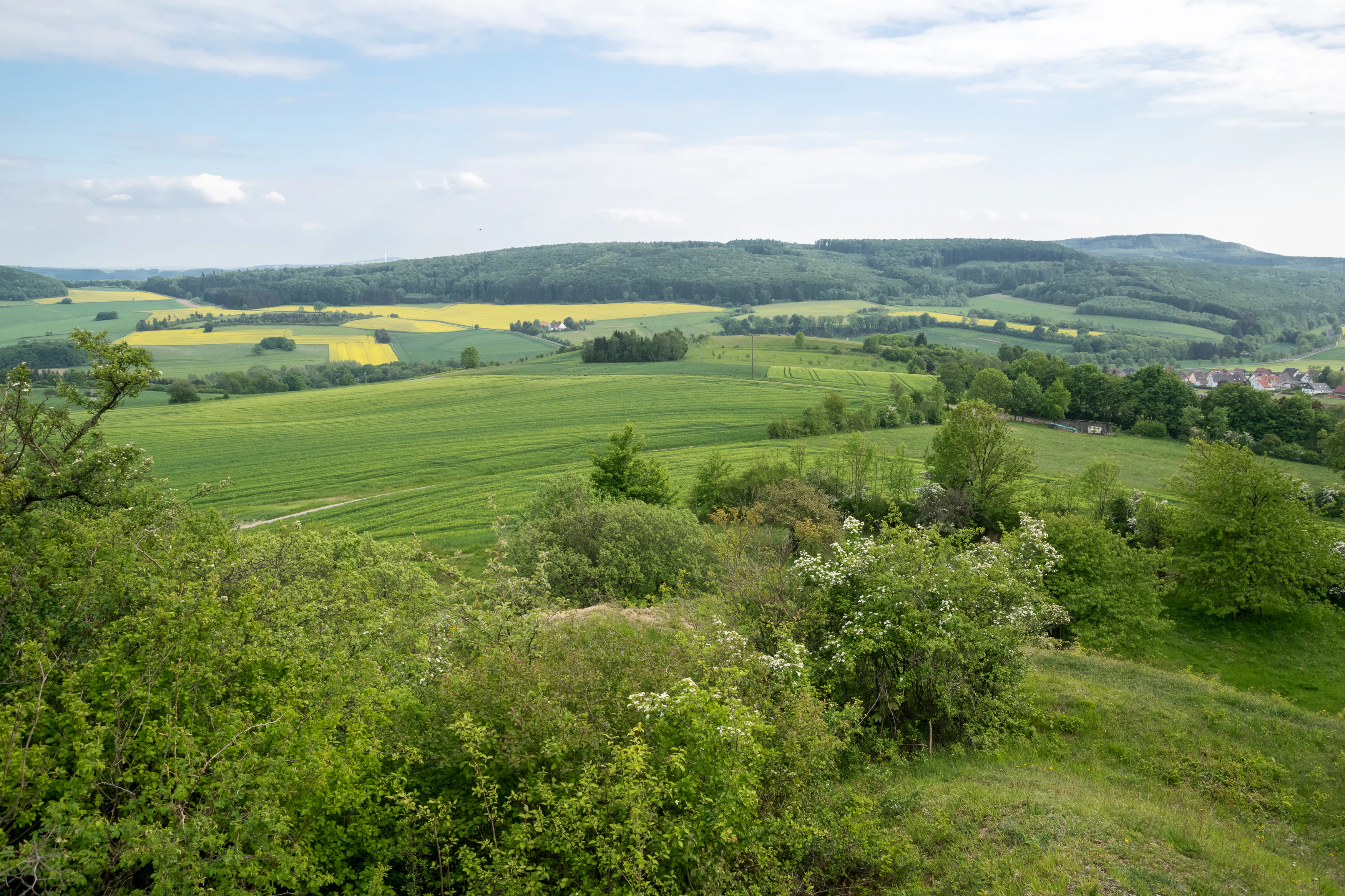 A wide landscape view of rolling green hills, agricultural fields, yellow rapeseed crops, and distant forests under a partly cloudy sky.