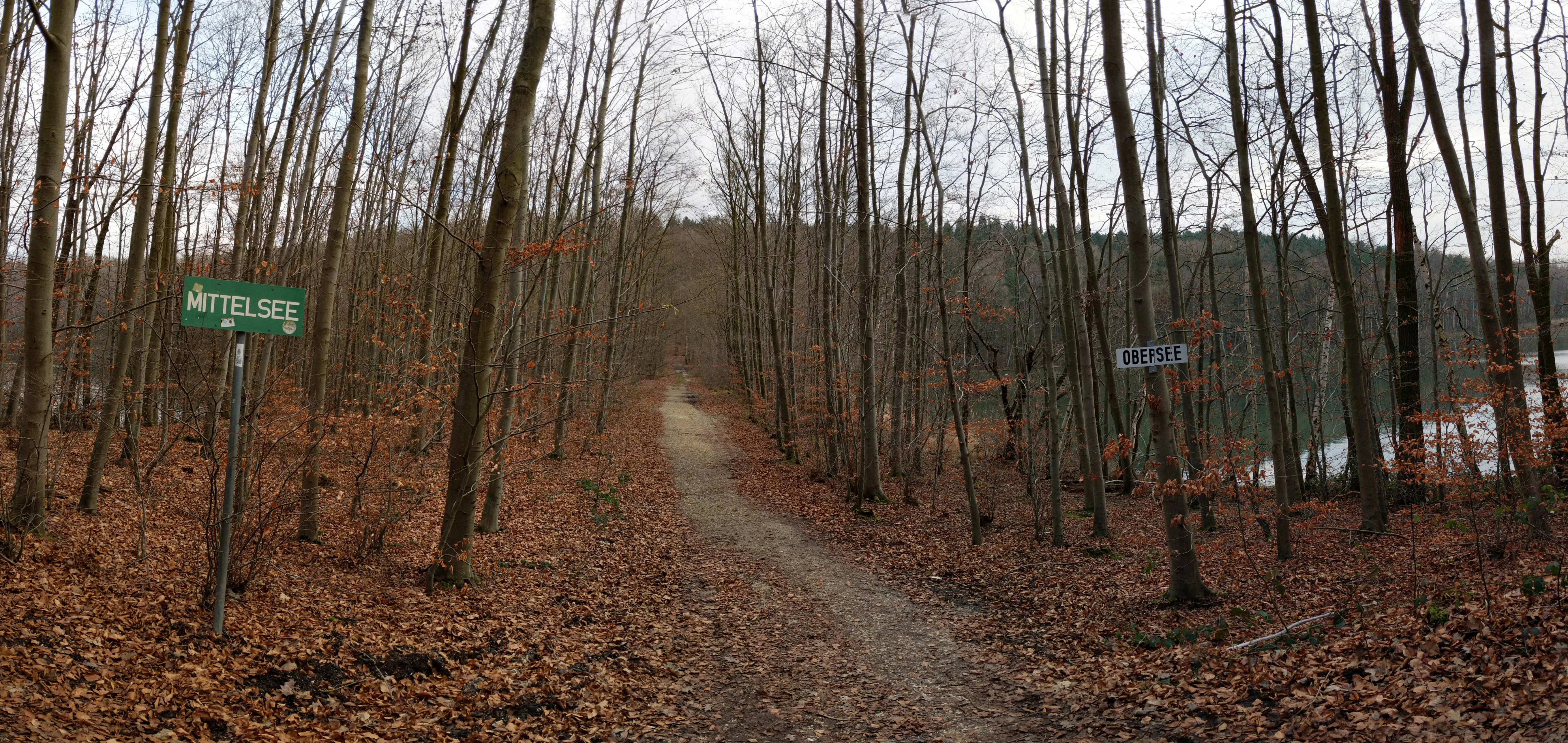 A dirt path leads through a deciduous forest in late autumn, with green trail signs labeled 'Mittelsee' and 'Obersee' visible on either side.