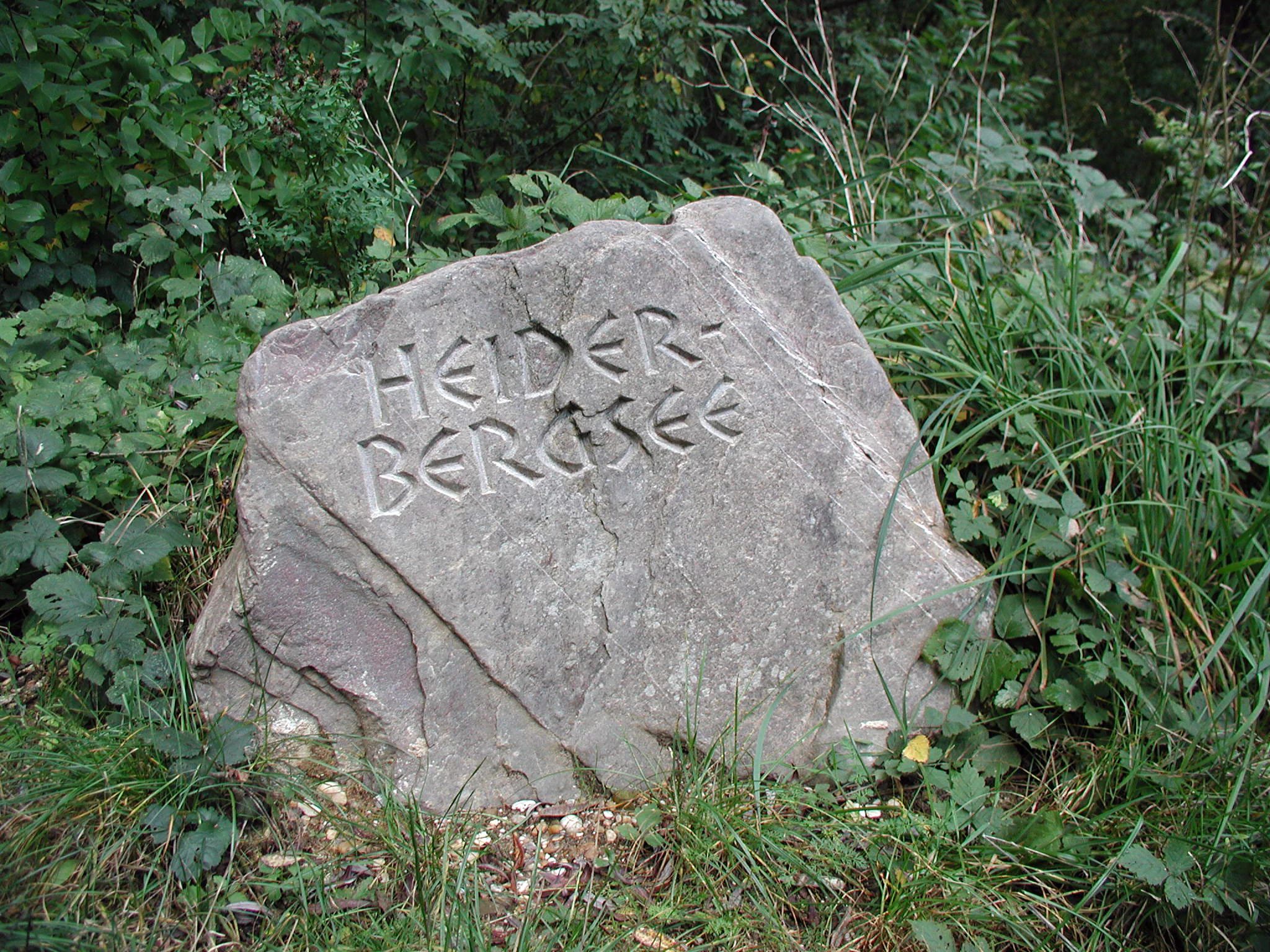 A large grey stone boulder carved with the name Heider Bergsee, surrounded by lush green foliage and grasses in a forest environment.