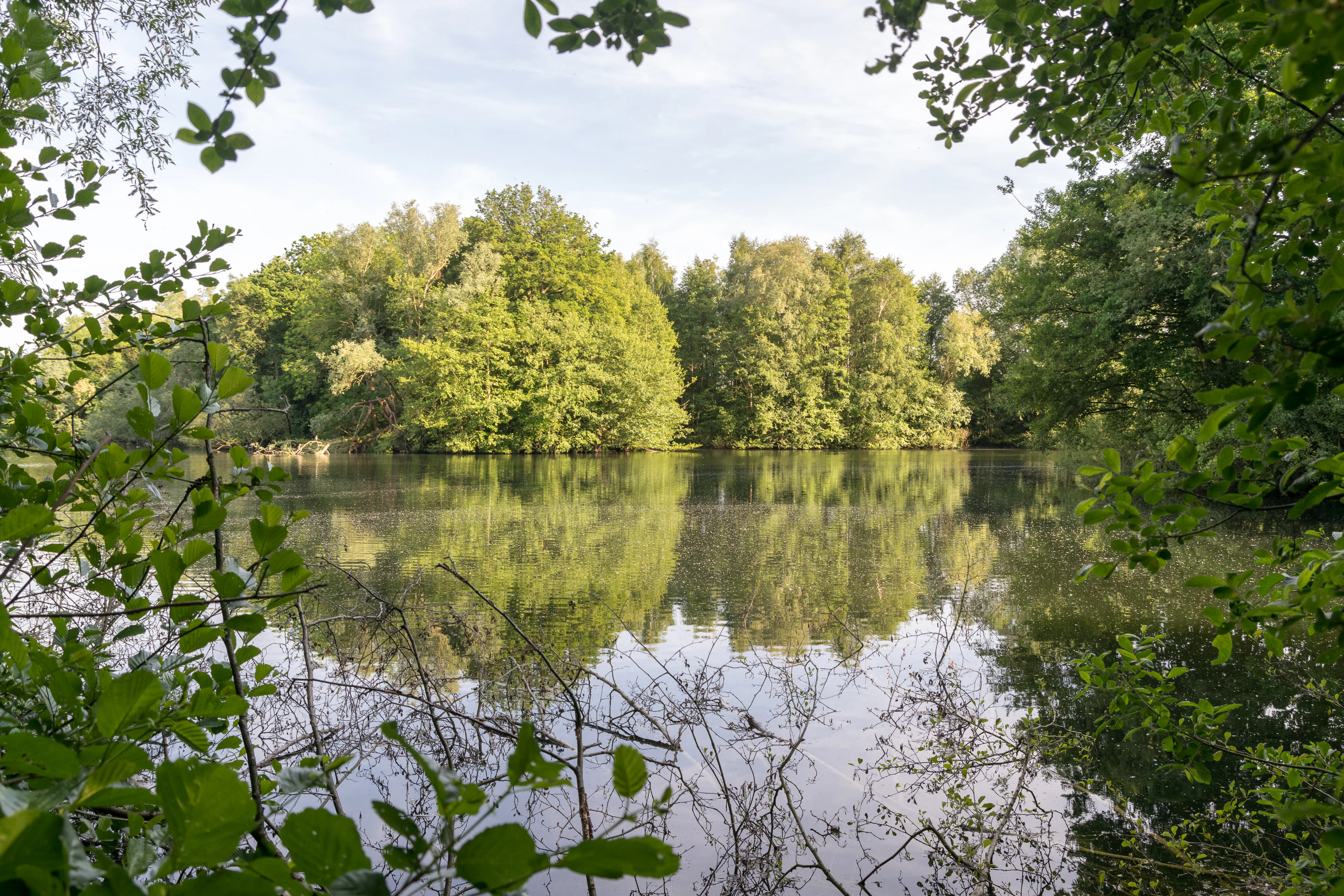 A calm lake surrounded by dense green trees, with the trees reflected in the still water. Branches and leaves frame the foreground.