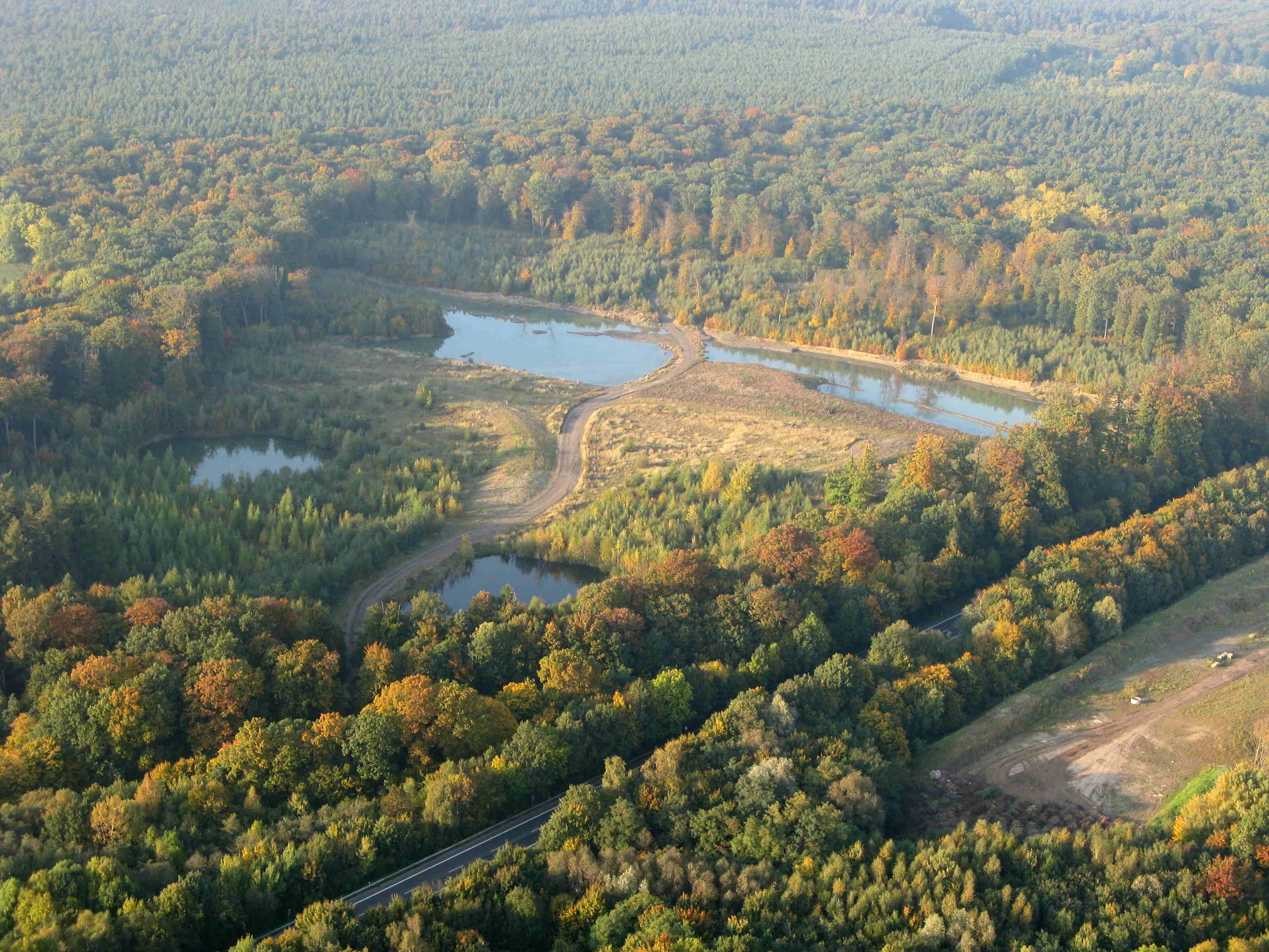 Aerial view of a densely wooded forest area containing multiple small ponds and a paved road cutting through the trees.