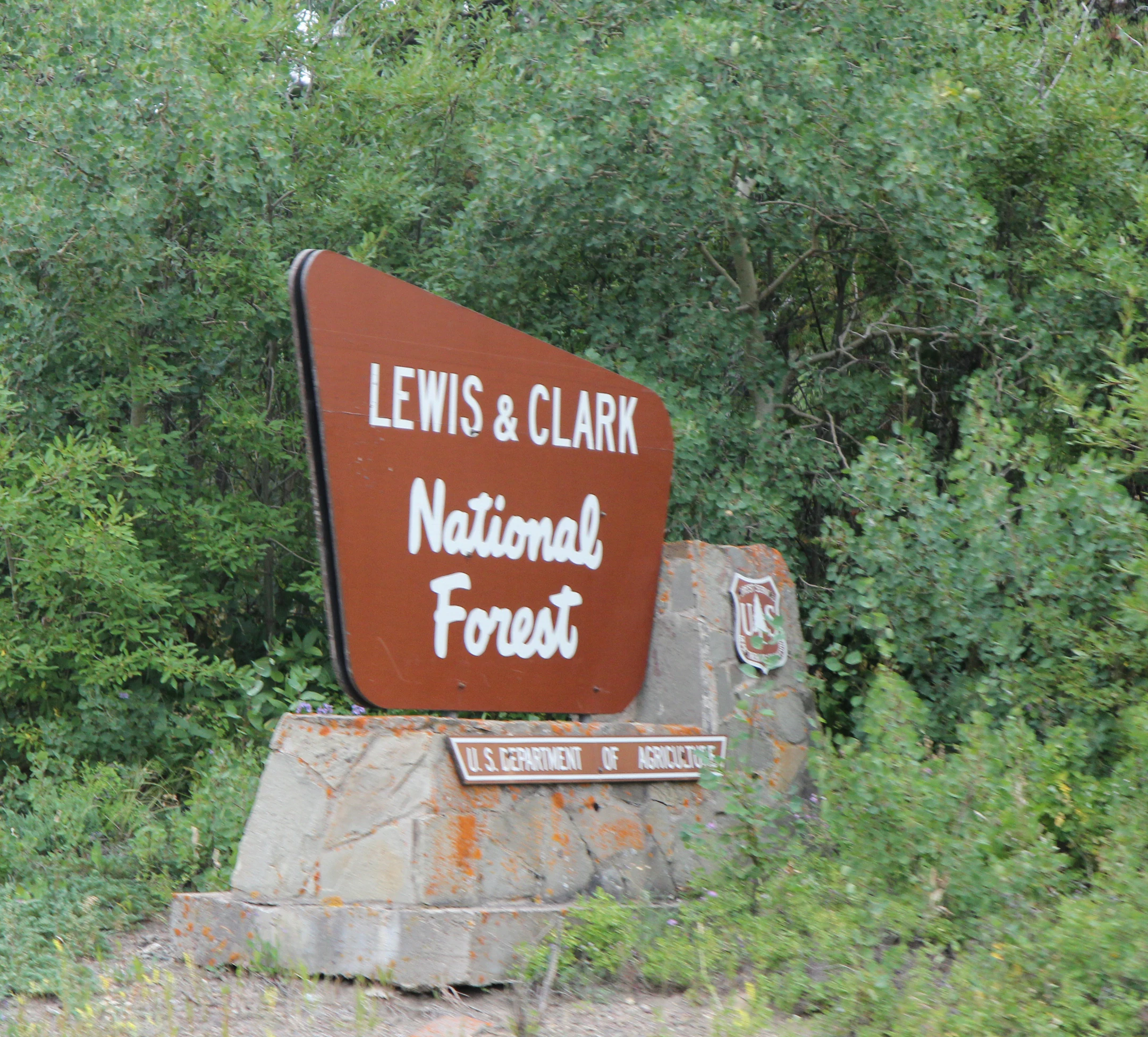 A brown, trapezoidal National Forest entrance sign with the text Lewis and Clark National Forest, mounted on a stone base, with dense green trees in the background.