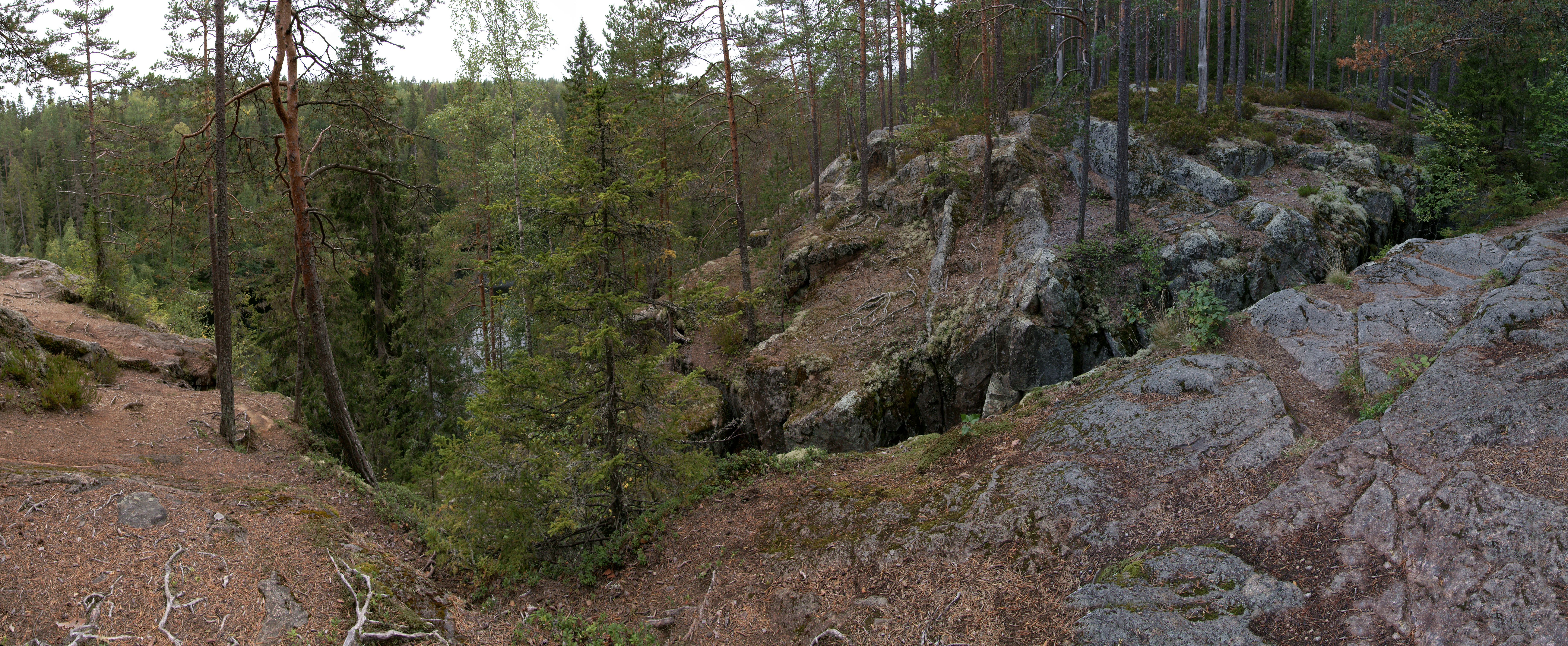 Panoramic view of rocky cliffs and forested gorge in Helvetinjärvi National Park