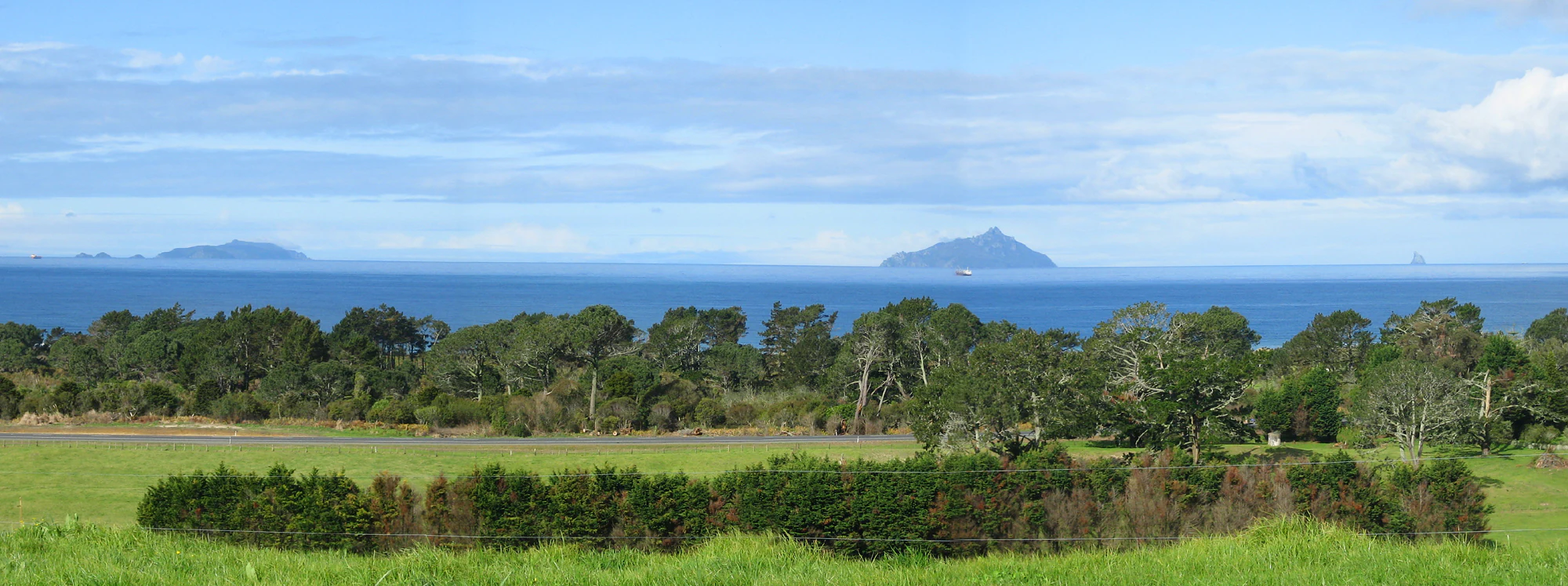 A wide landscape view of Bream Bay in New Zealand featuring green grassy fields in the foreground, a line of trees in the midground, and the Hen and Chicken Islands appearing as dark silhouettes on the horizon over the ocean.