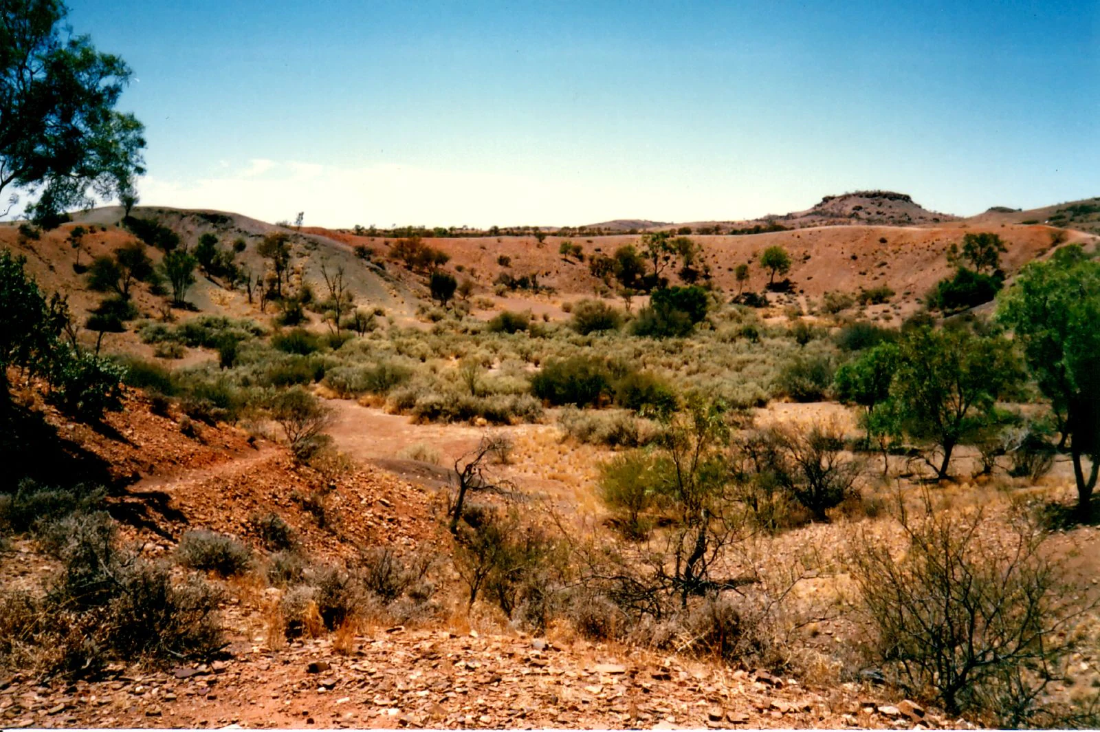 A wide angle view looking into a shallow, circular, red earth meteorite impact crater featuring sparse scrub vegetation, scattered small trees, and a low ridgeline under a clear blue sky.