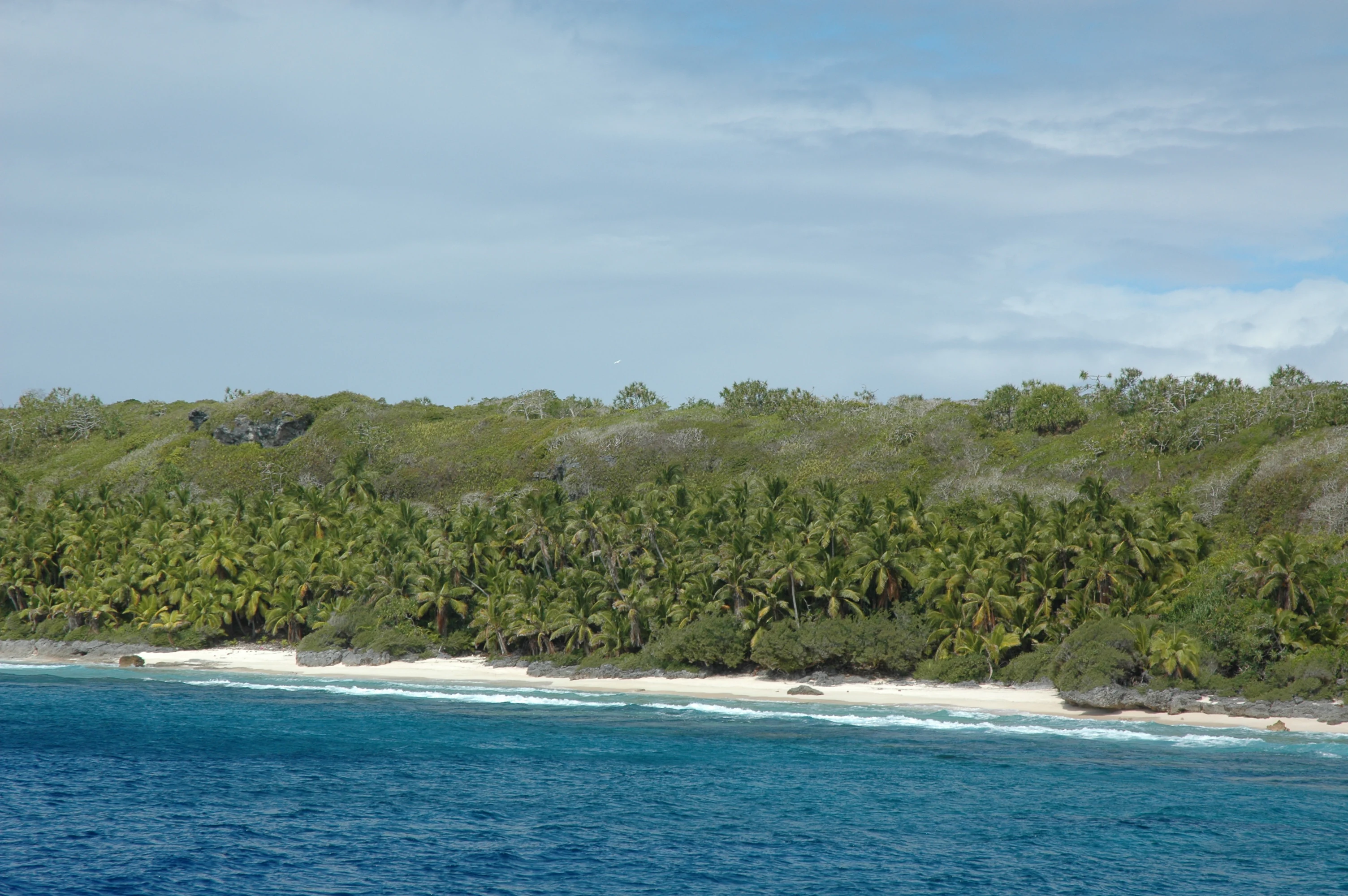 A wide shot of a tropical coastline with white sand, turquoise water, and a dense, elevated forest of palms and trees.