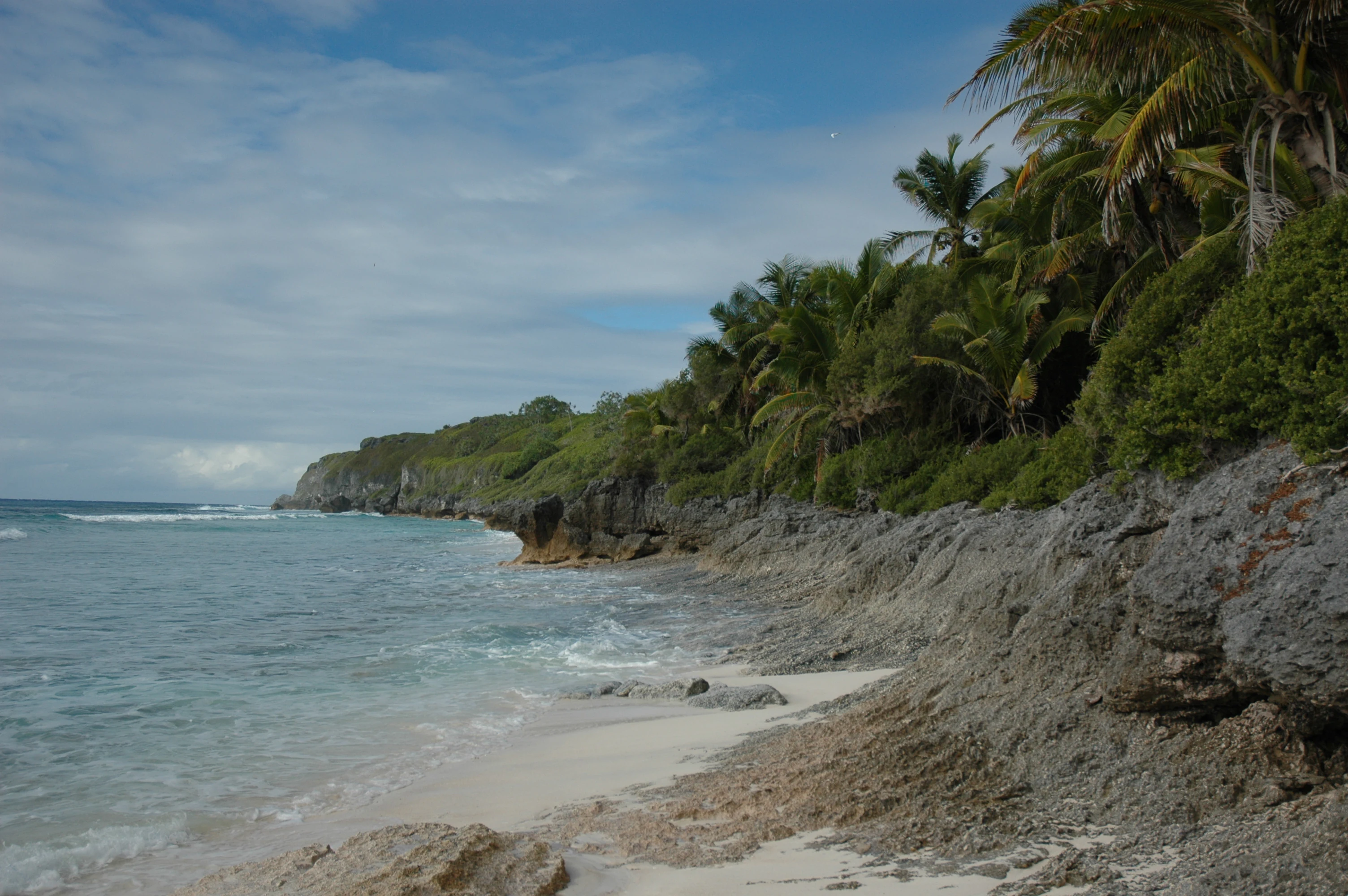 A coastal scene showing white sand meeting rough, grey limestone cliffs topped with lush green tropical vegetation on Henderson Island.