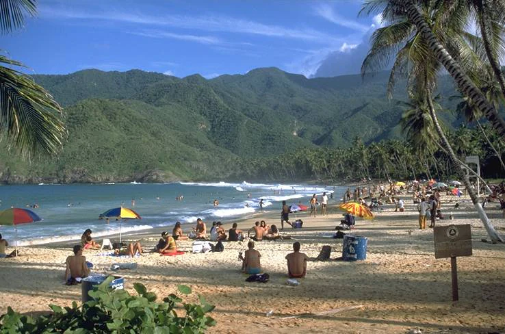 People relaxing on a sandy beach with palm trees, blue ocean waves, and mountainous backdrop under clear sky
