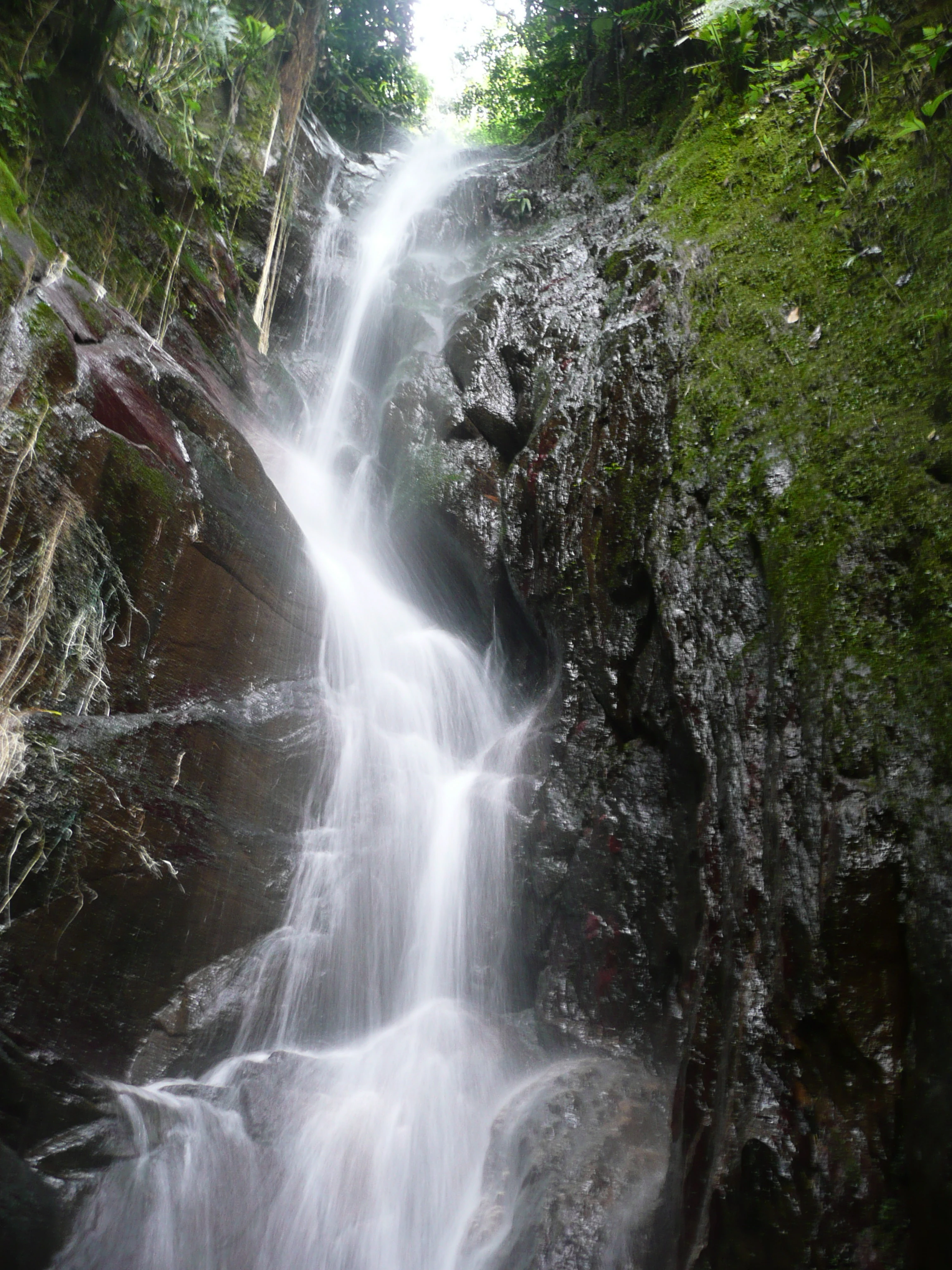 Waterfall flowing over rocky cliffs with moss and dense green vegetation