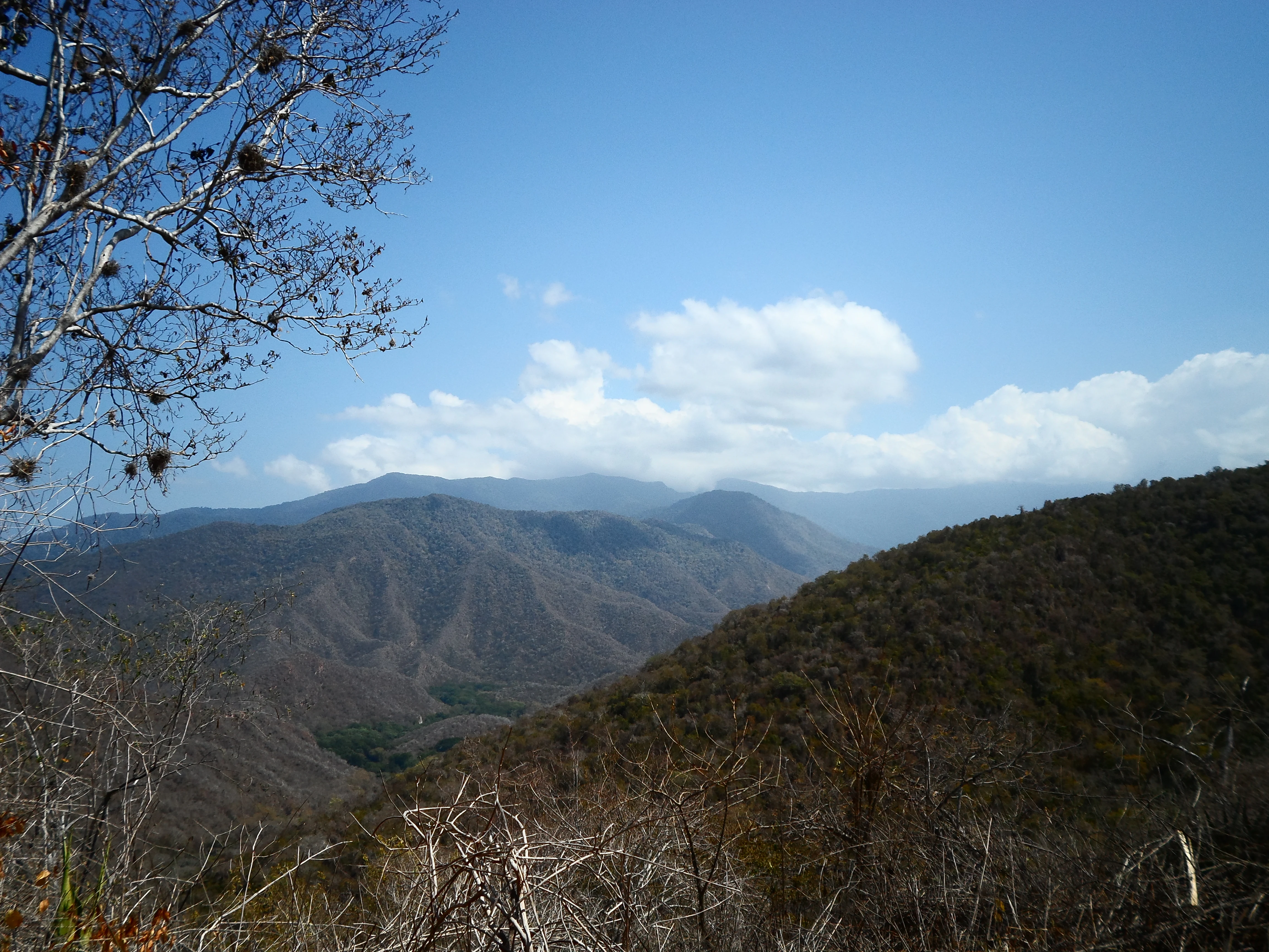 Mountain landscape with valleys and forested hills under a blue sky with clouds.
