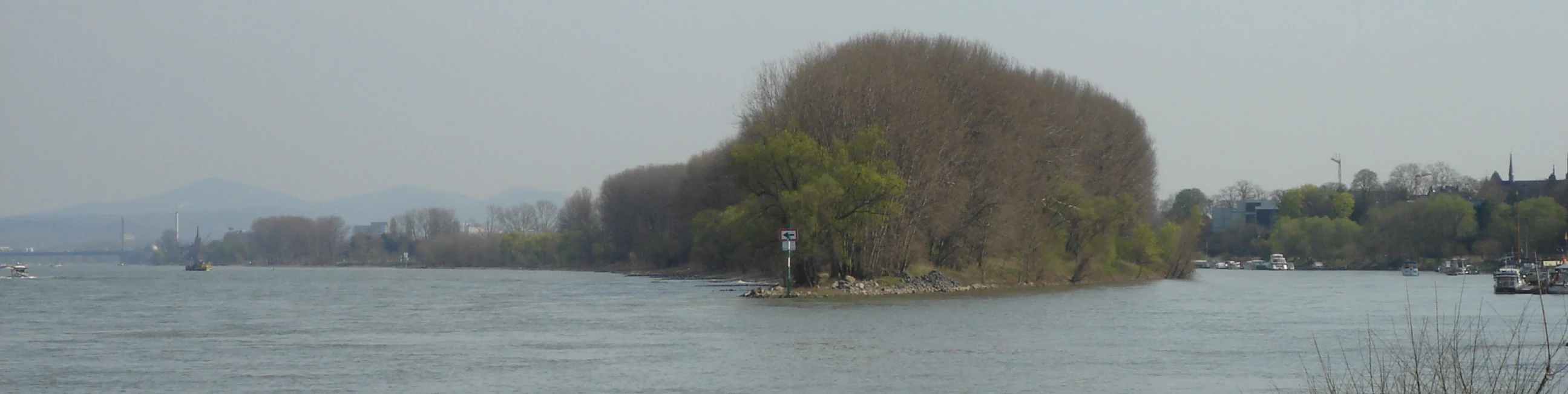 A view of the Rhine island Herseler Werth, characterized by dense trees and vegetation, seen from the north.