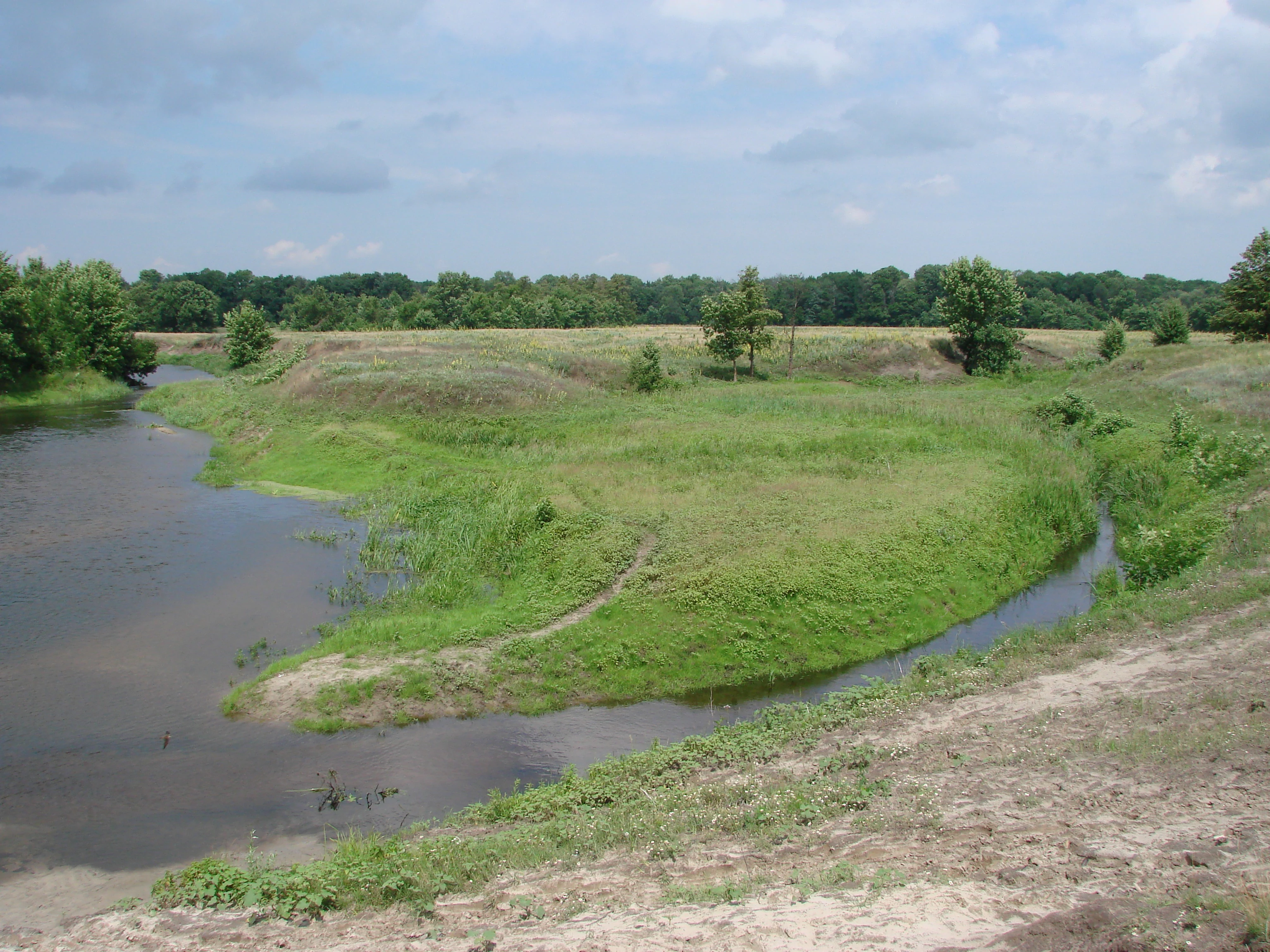 A river flowing through grassy floodplains with trees in the background under a partly cloudy sky