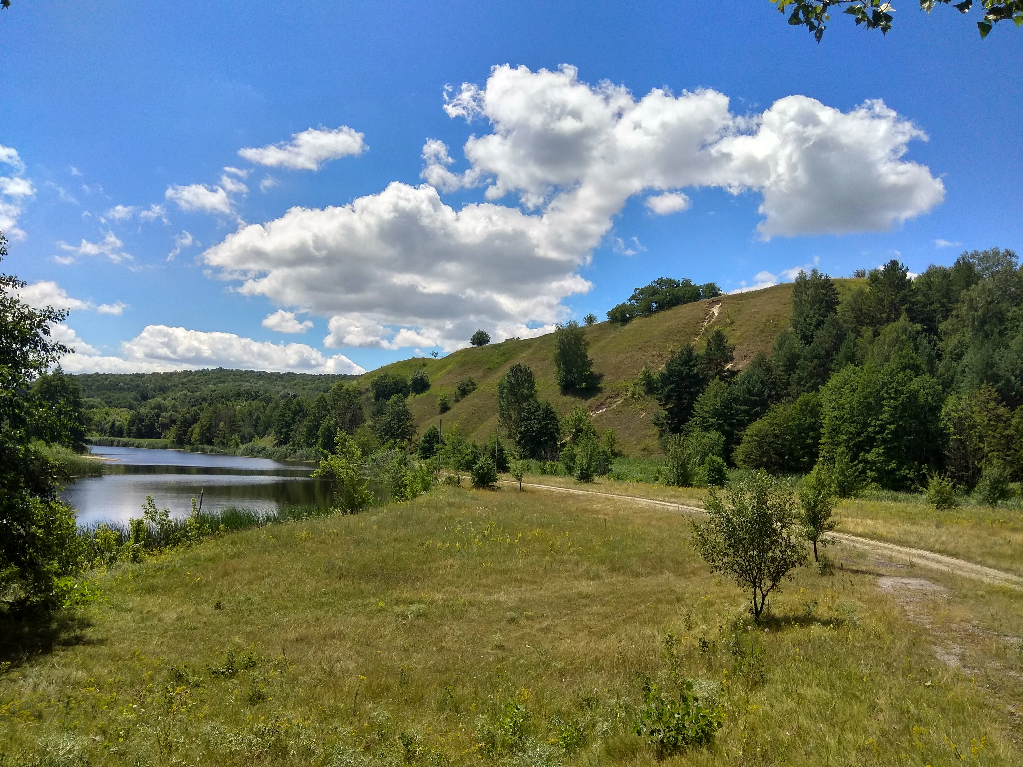Grassy field with a lake on the left, rolling hills covered in trees and grass under a blue sky with scattered clouds