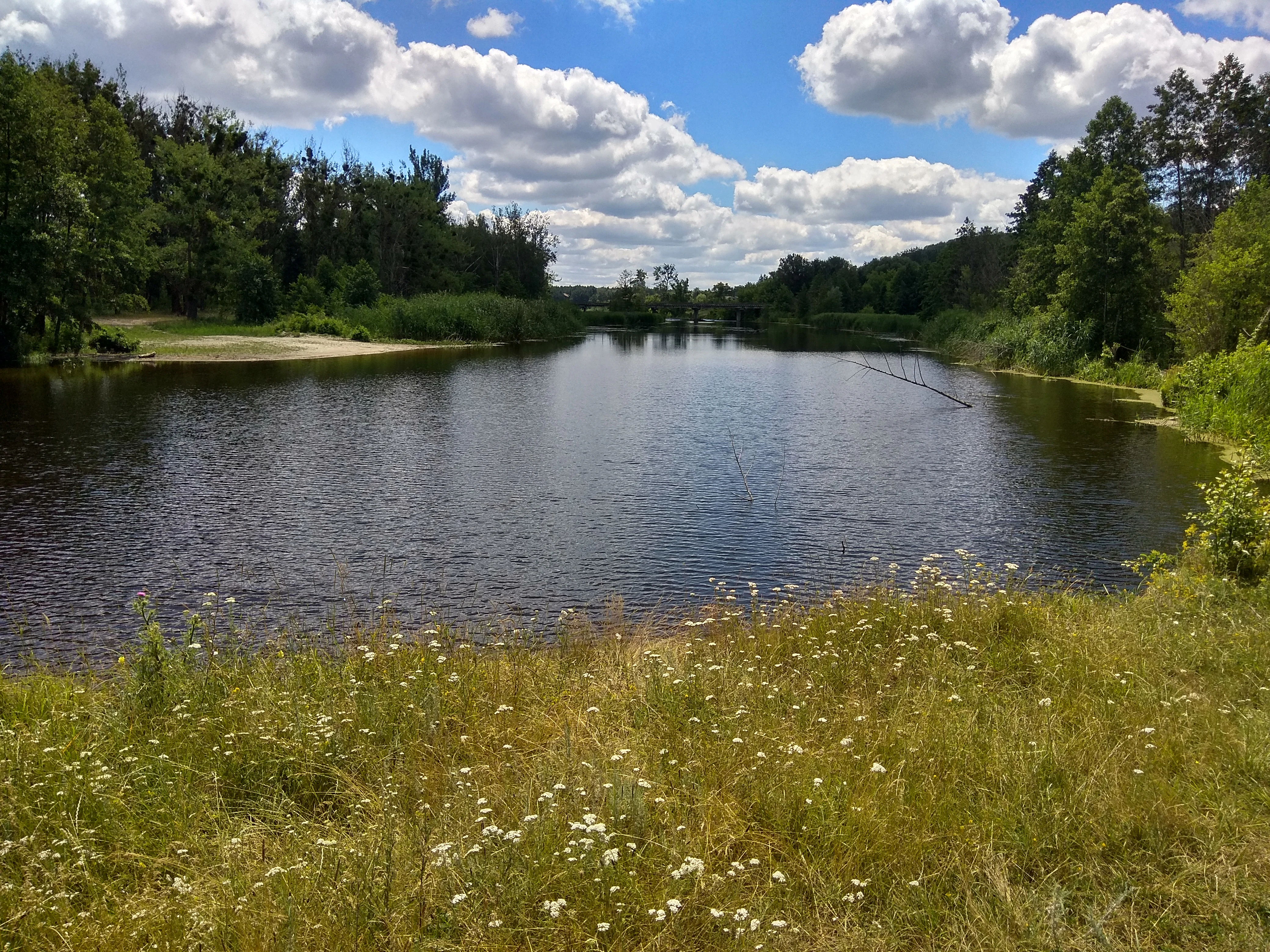 A calm river surrounded by grassy banks and trees under a partly cloudy sky
